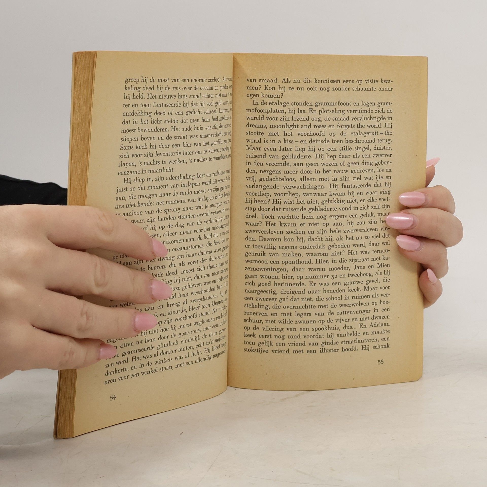 Anna Blaman Ram Horna en andere verhalen