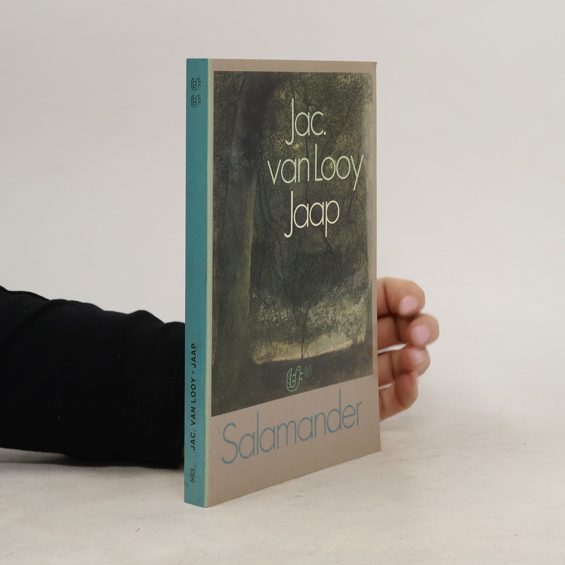 Jacobus Van Looy Jaap