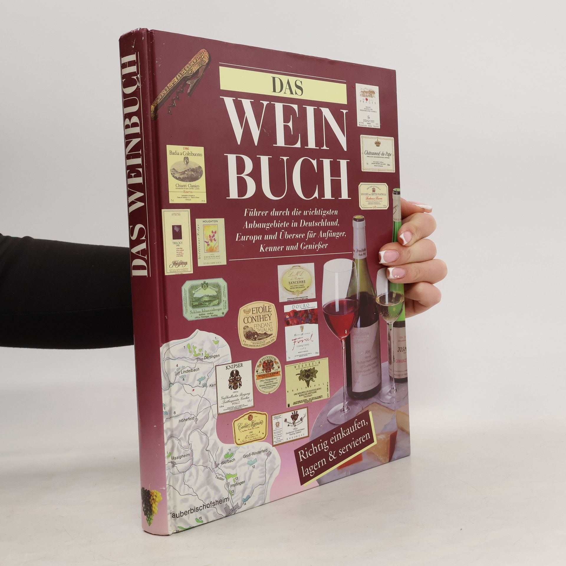 Das Weinbuch