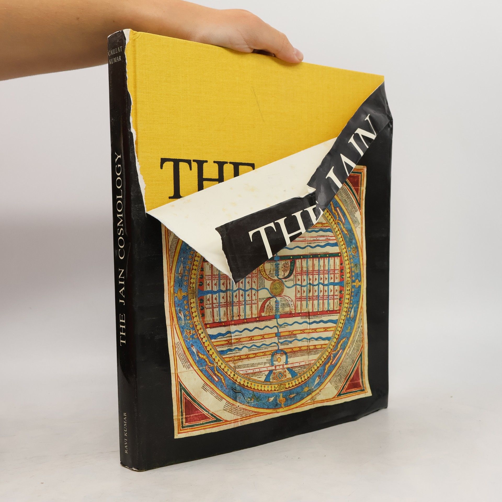 Collette Caillat The Jain Cosmology