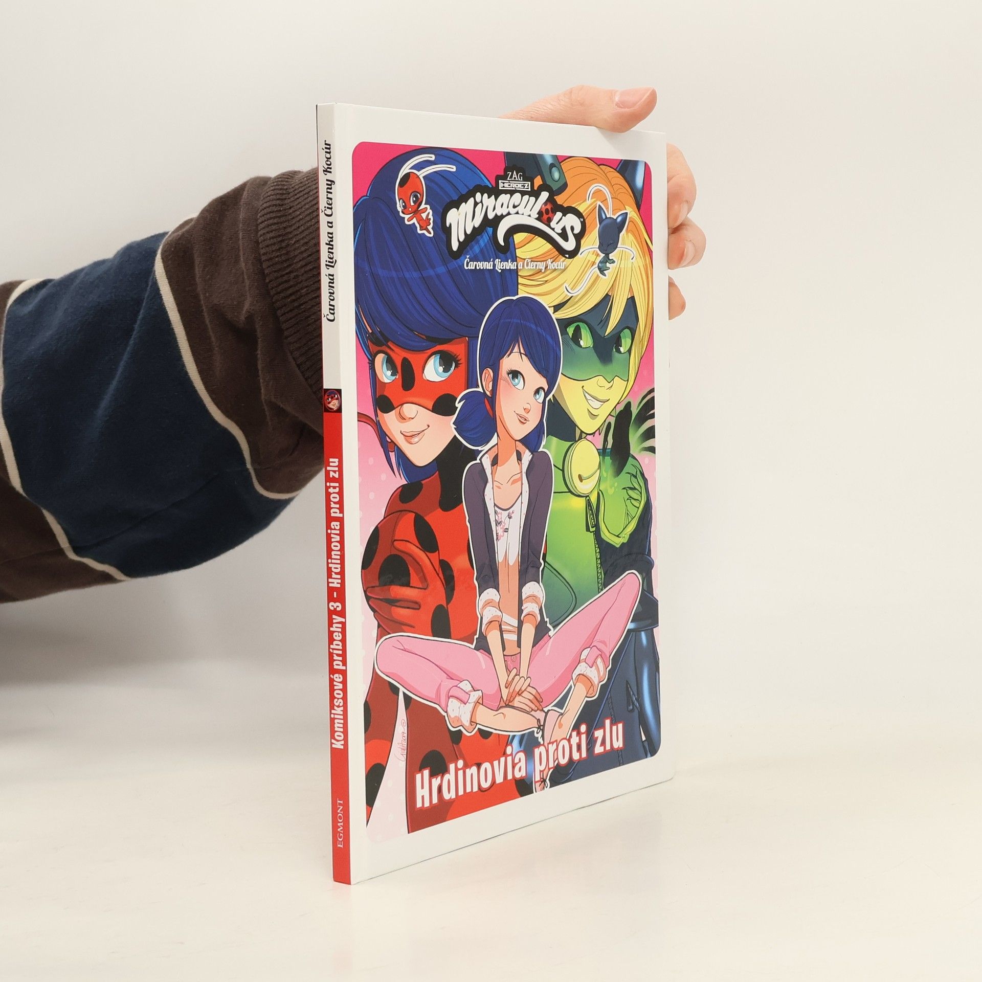 Collectif d'auteurs Hrdinovia proti zlu