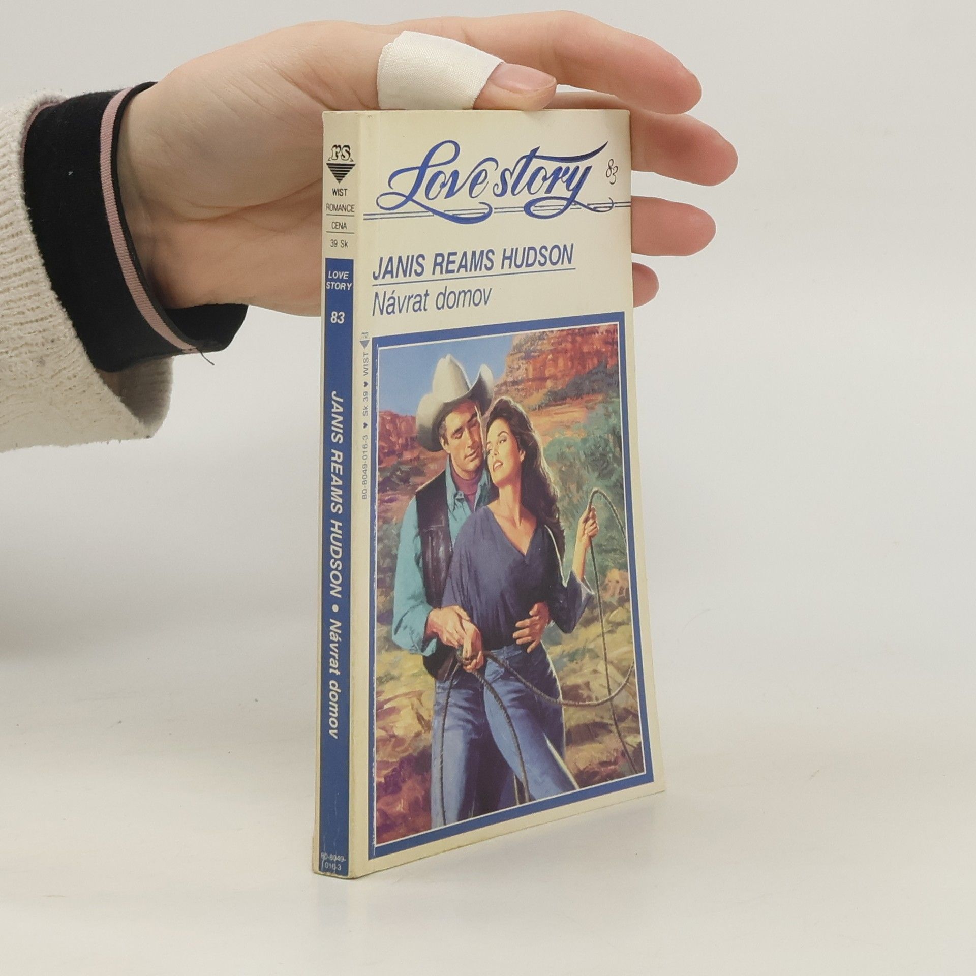 Janis Reams Hudson Návrat domov