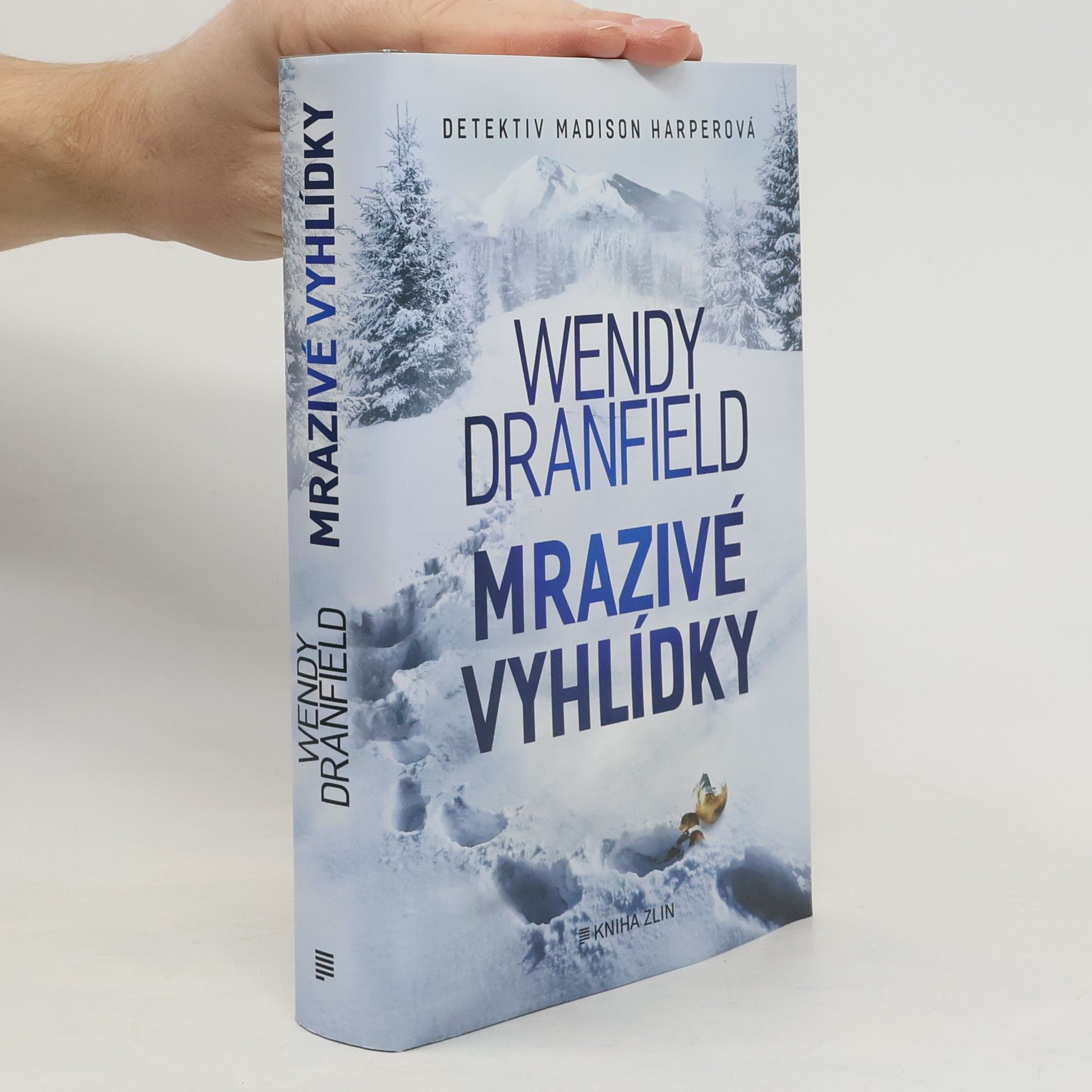Wendy Dranfield Mrazivé vyhlídky