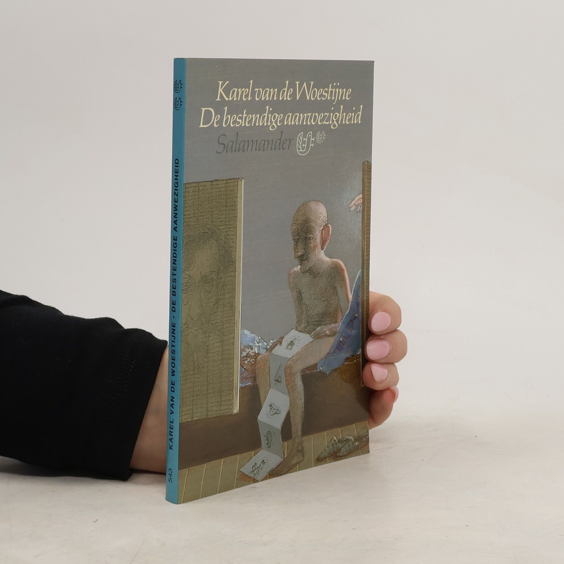 Karel van de Woestijne De bestendige aanwezigheid