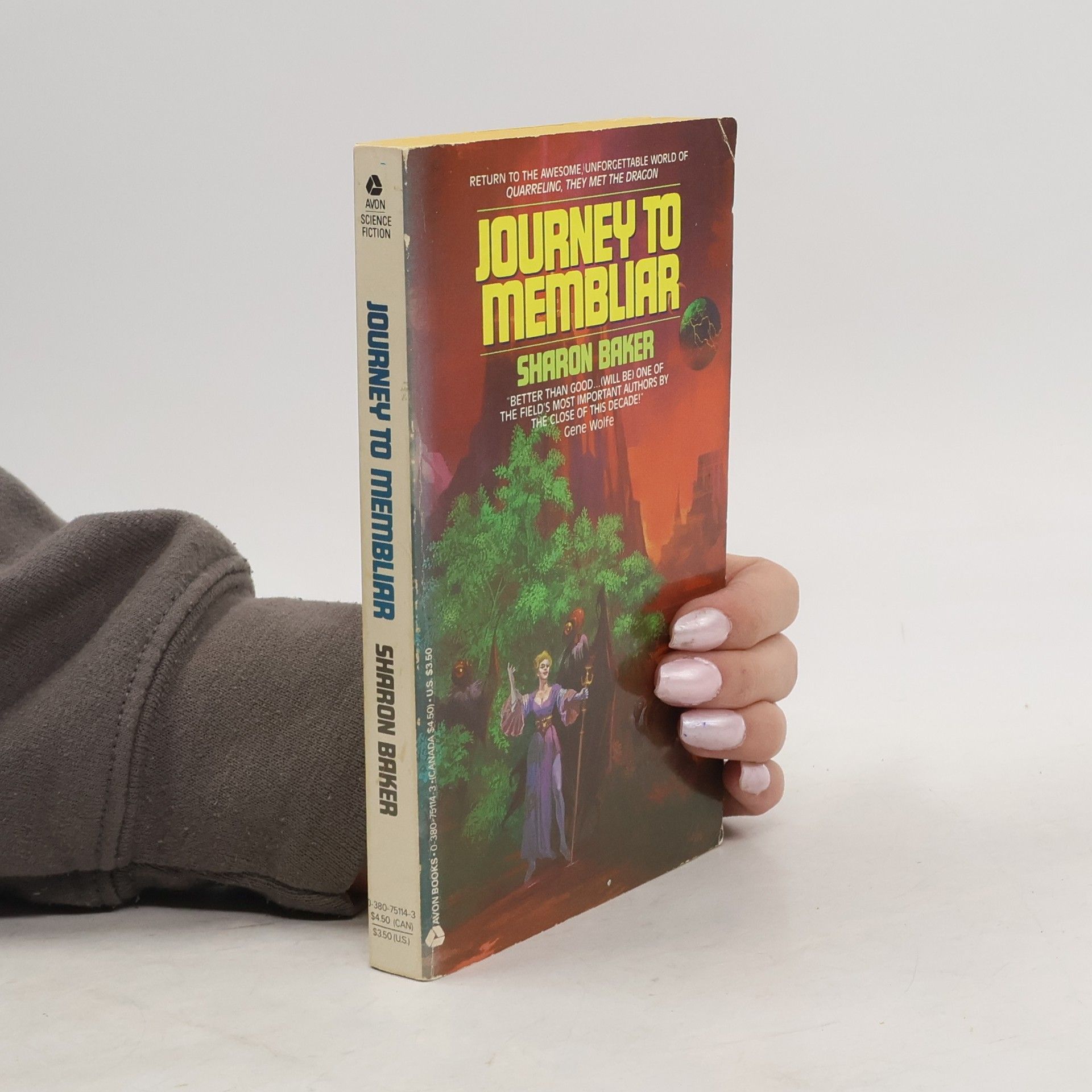 Sharon Baker Journey to Membliar