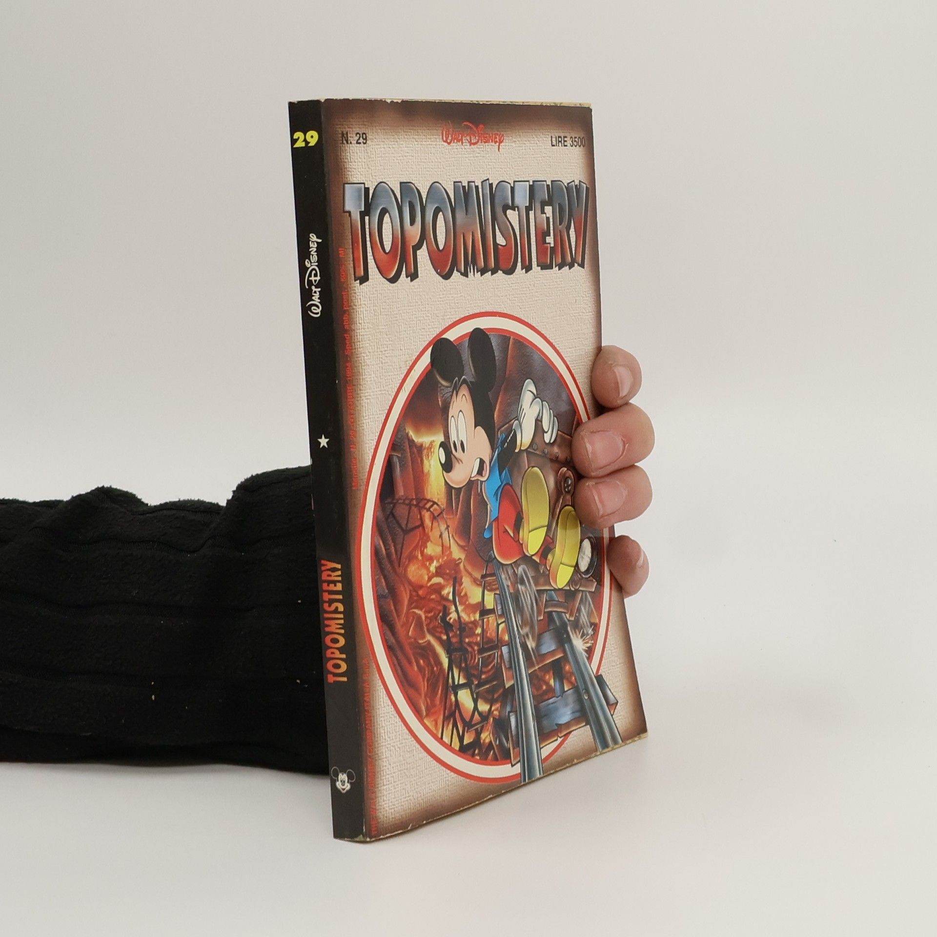 Walt Disney Topomistery 29