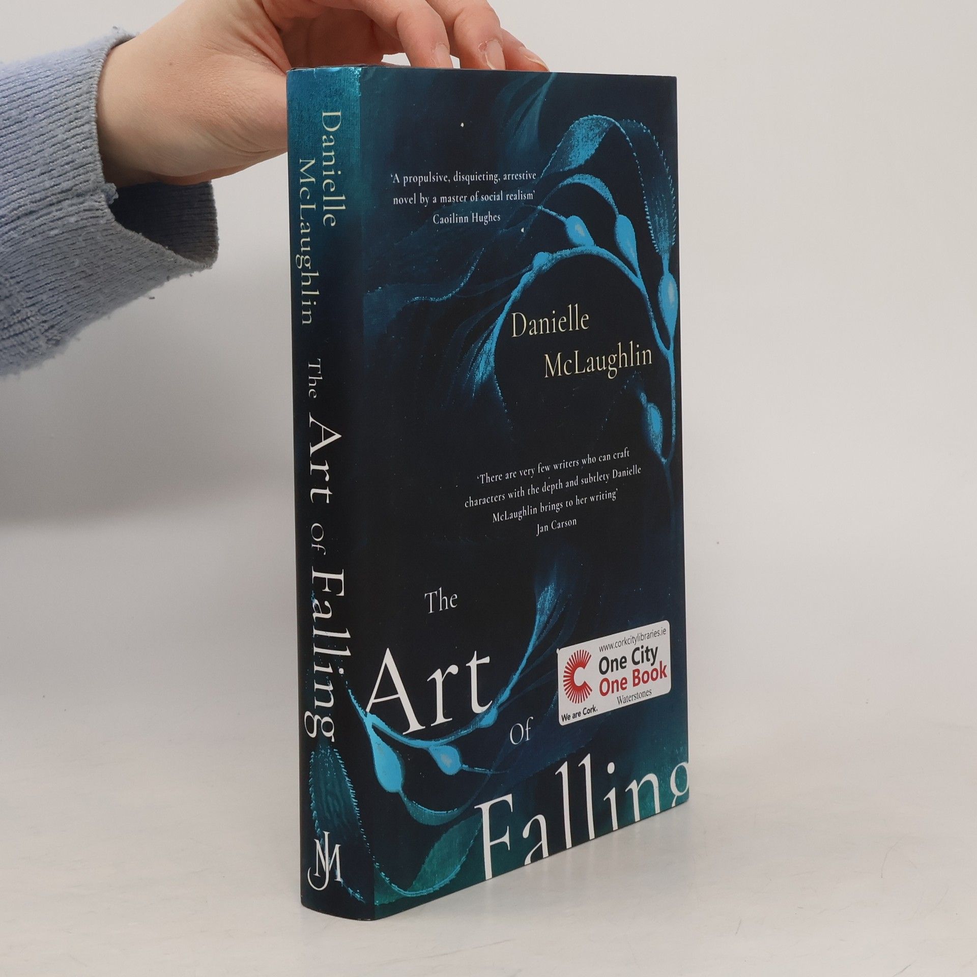 Danielle McLaughlin The Art of Falling