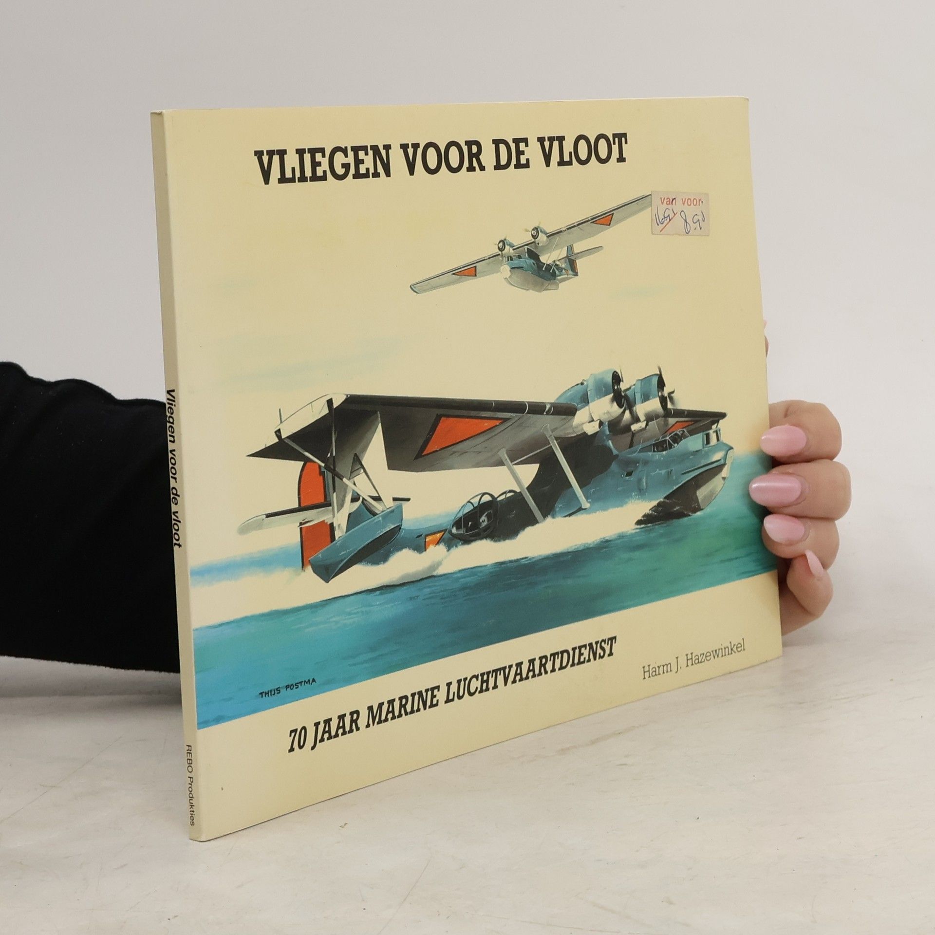 Harm J. Hazewinkel Vliegen voor de vloot