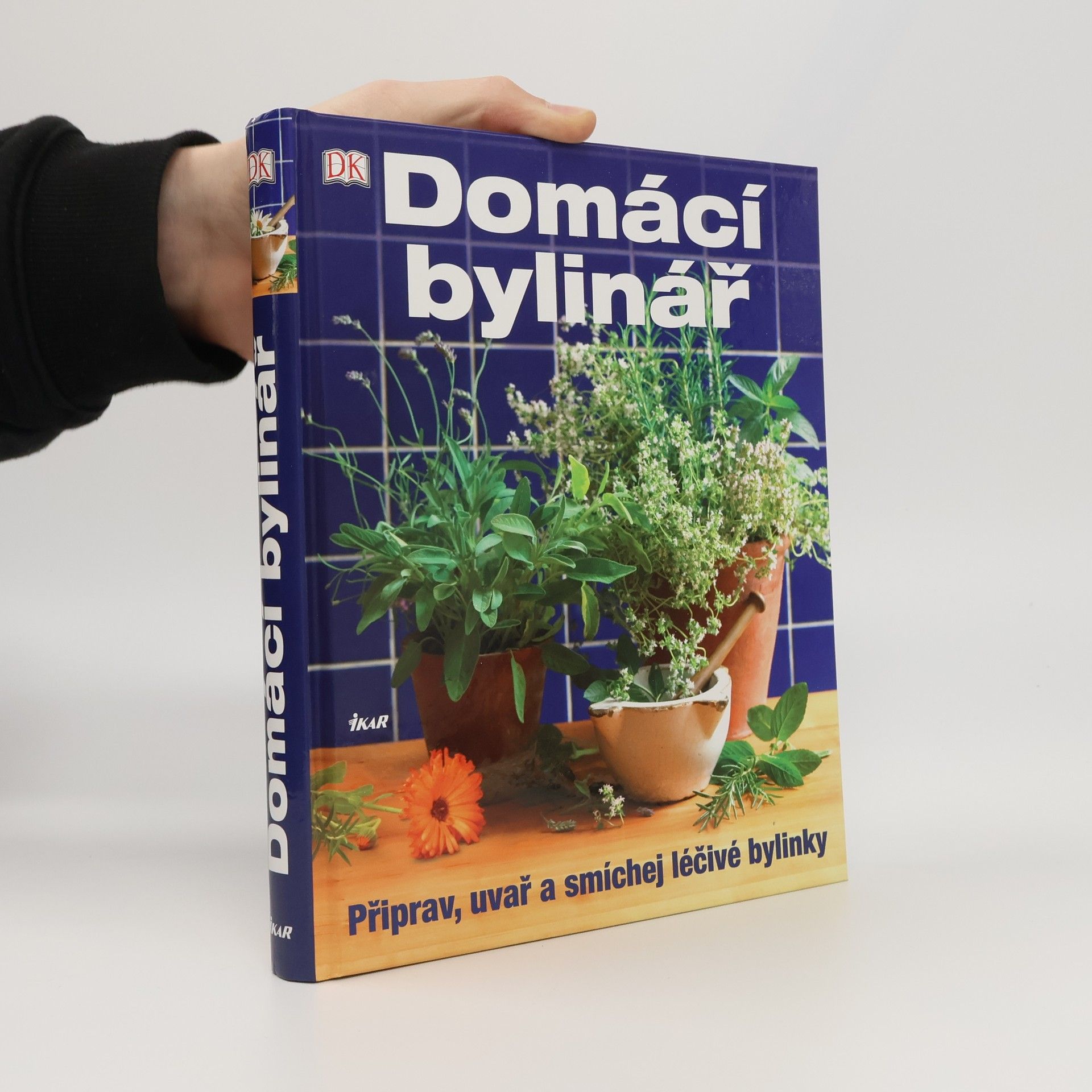 Collectif d'auteurs Domácí bylinář