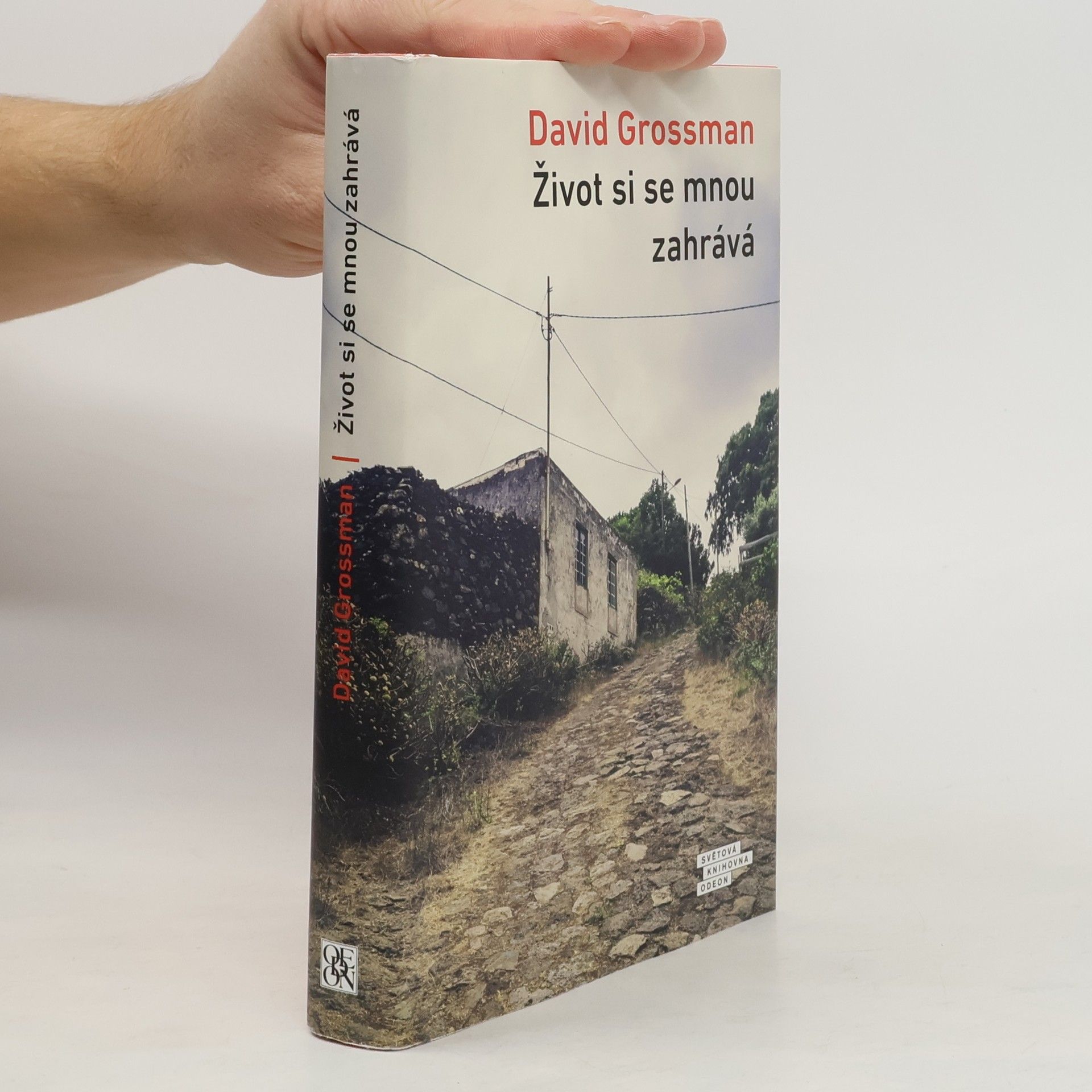David Grossman Život si se mnou zahrává