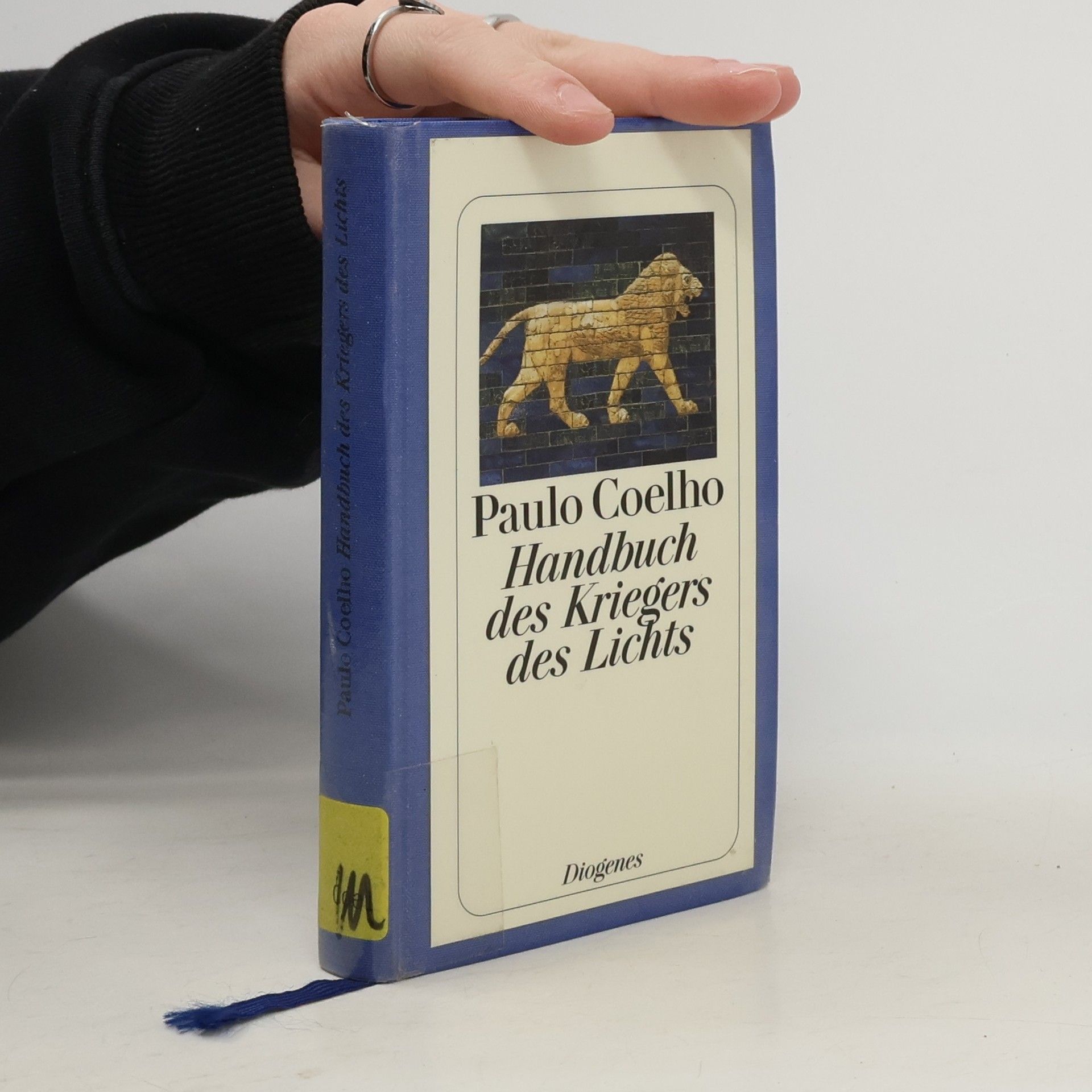 Paulo Coelho Handbuch des Kriegers des Lichts