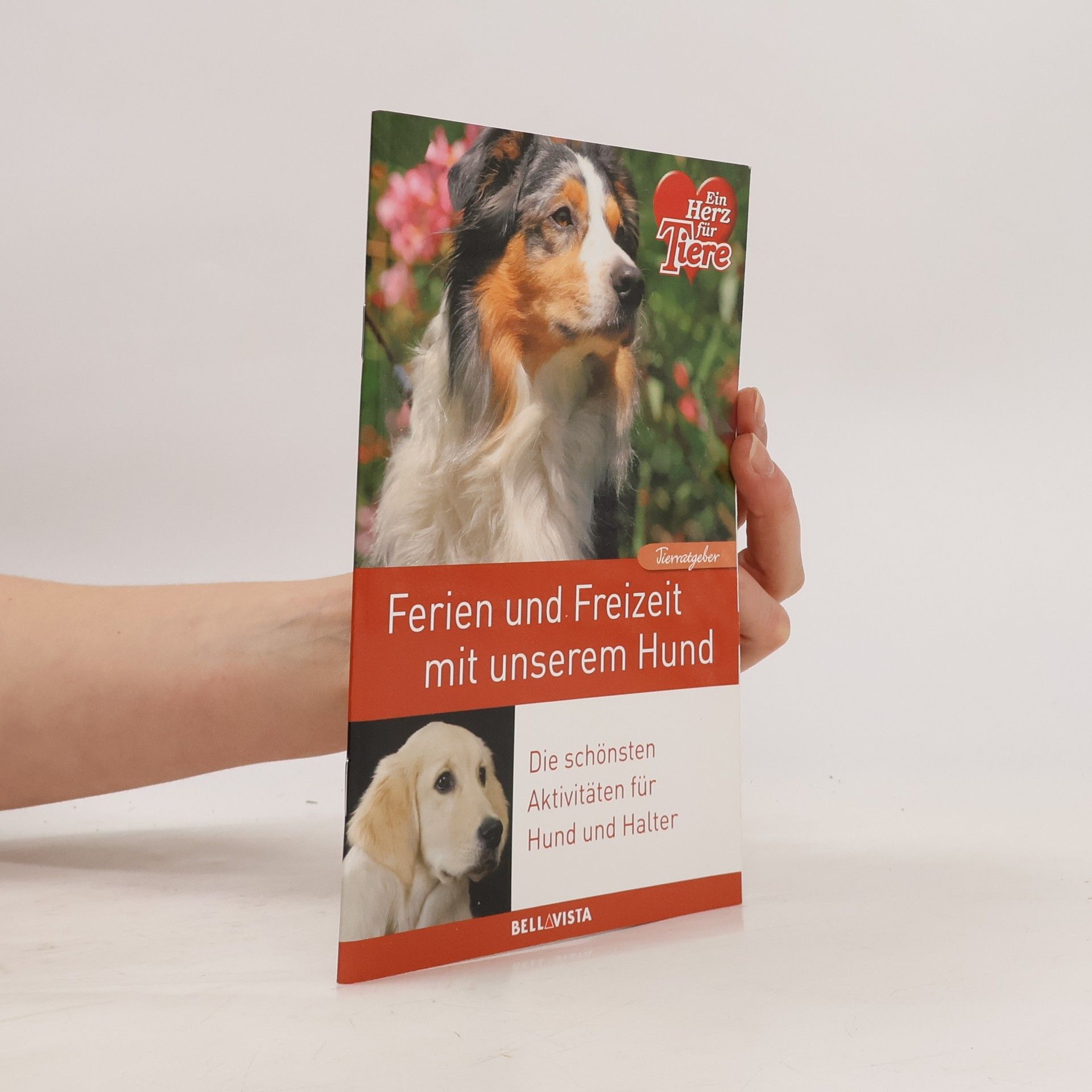 Auteurscollectief Ratgeber Tiere - Ferien und Freizeitspaß mit unserem Hund