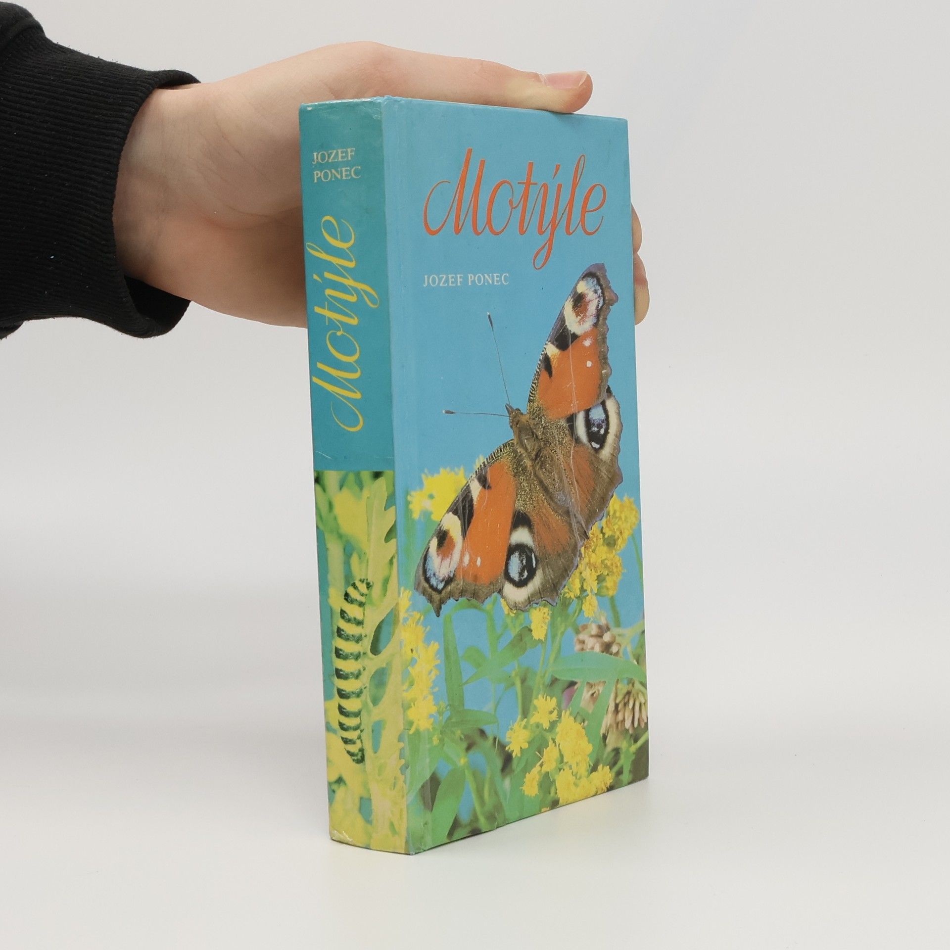 Jozef Ponec Motýle