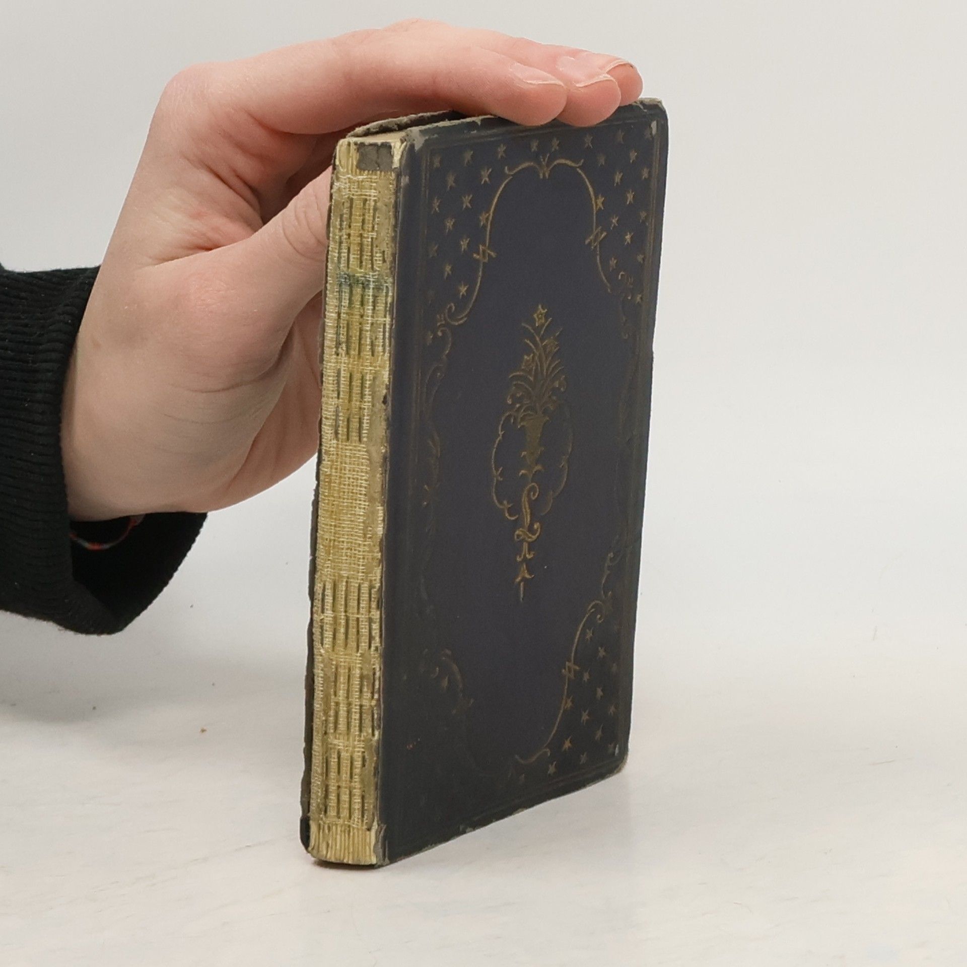 Auteurscollectief Metoula Sprachführer. Spanisch