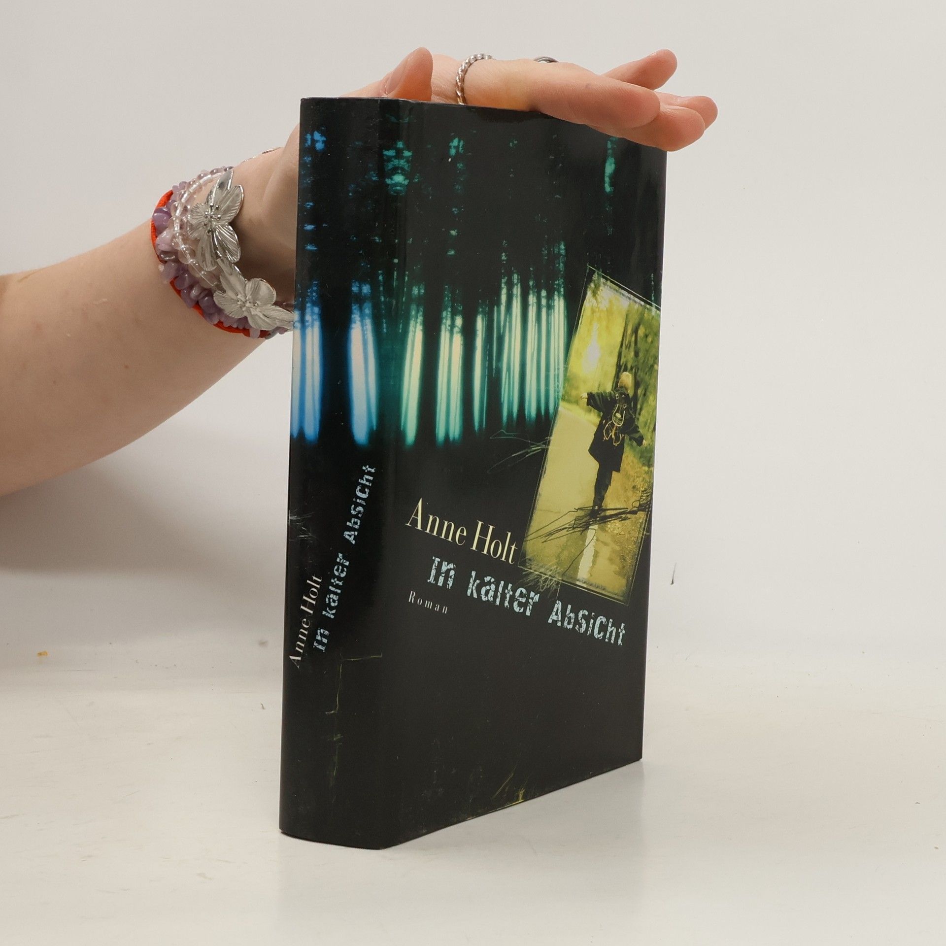 Anne Holt In kalter Absicht