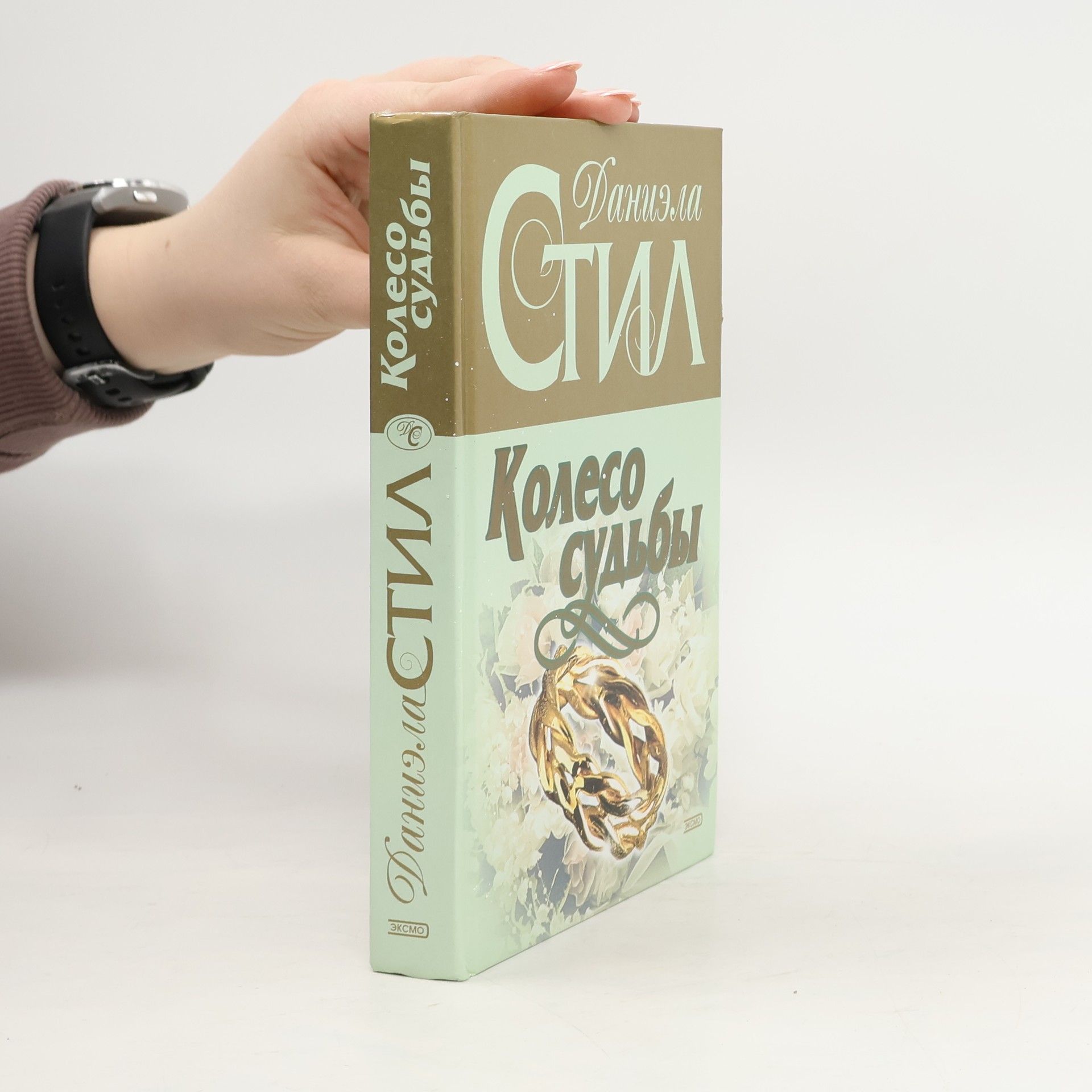 Danielle Steel Колесо судьбы