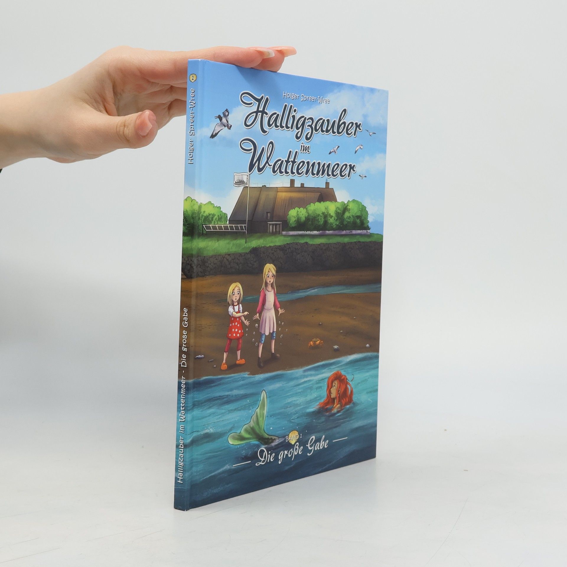 Holger Spreer-Wree Halligzauber im Wattenmeer