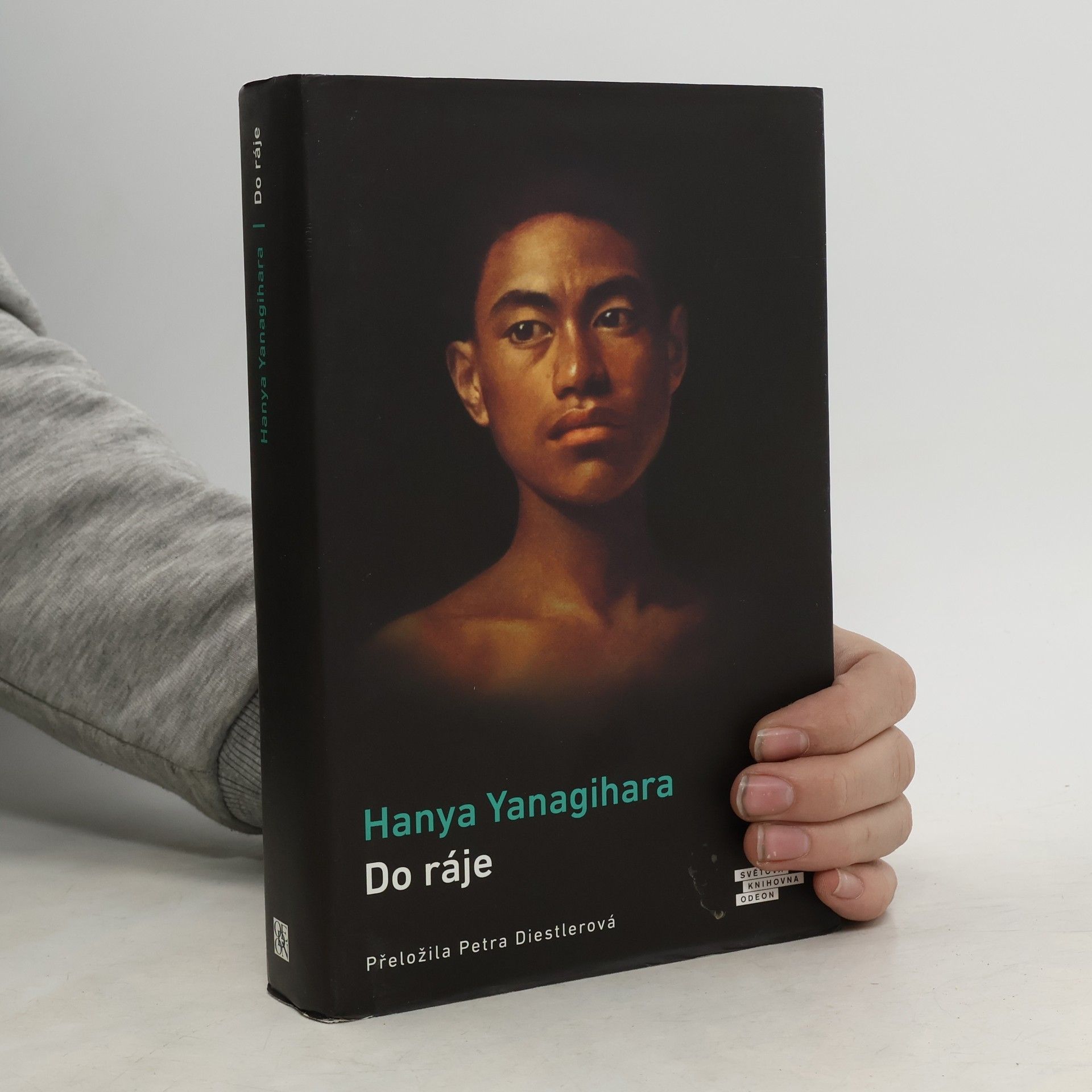 Hanya Yanagihara Do ráje