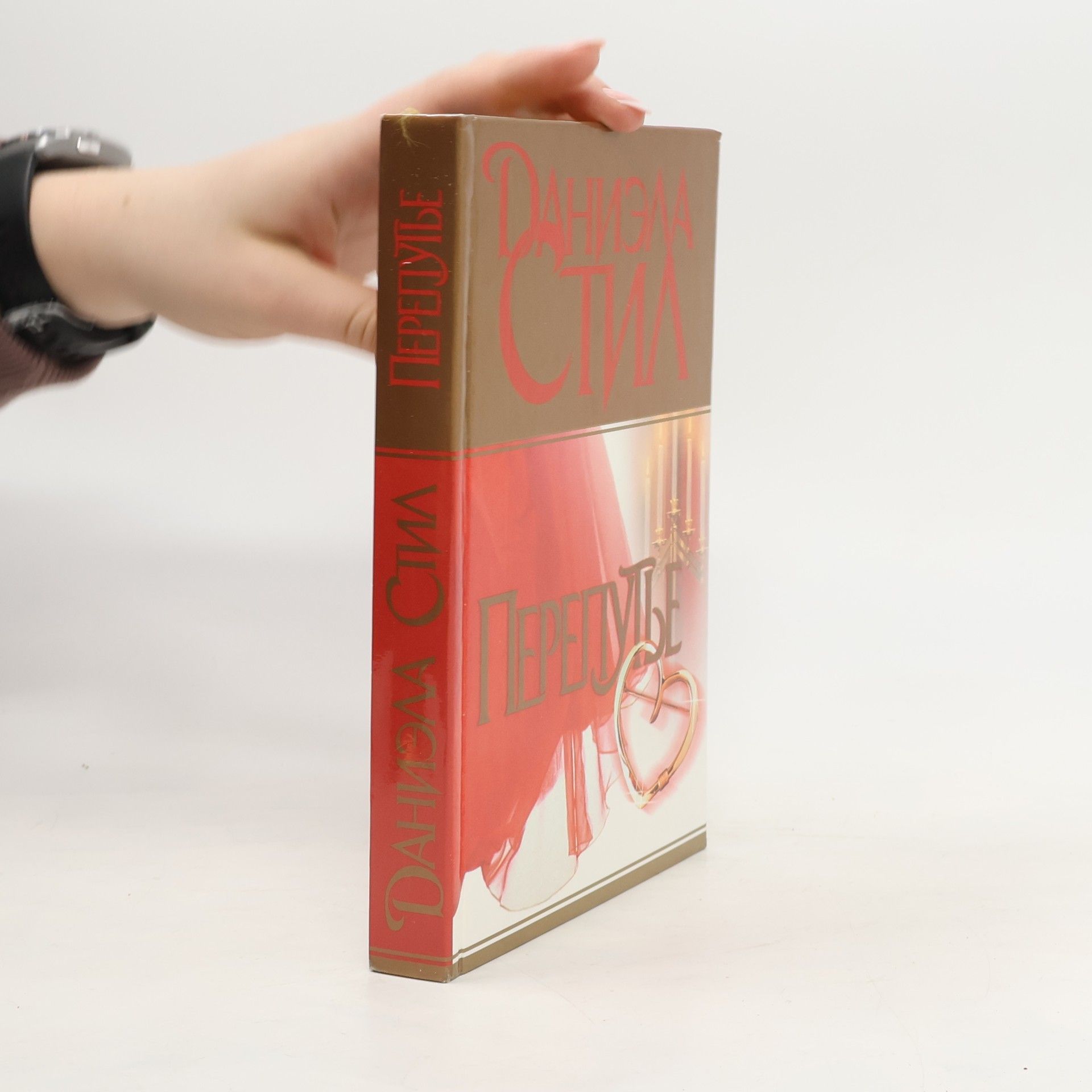 Danielle Steel Перепутье