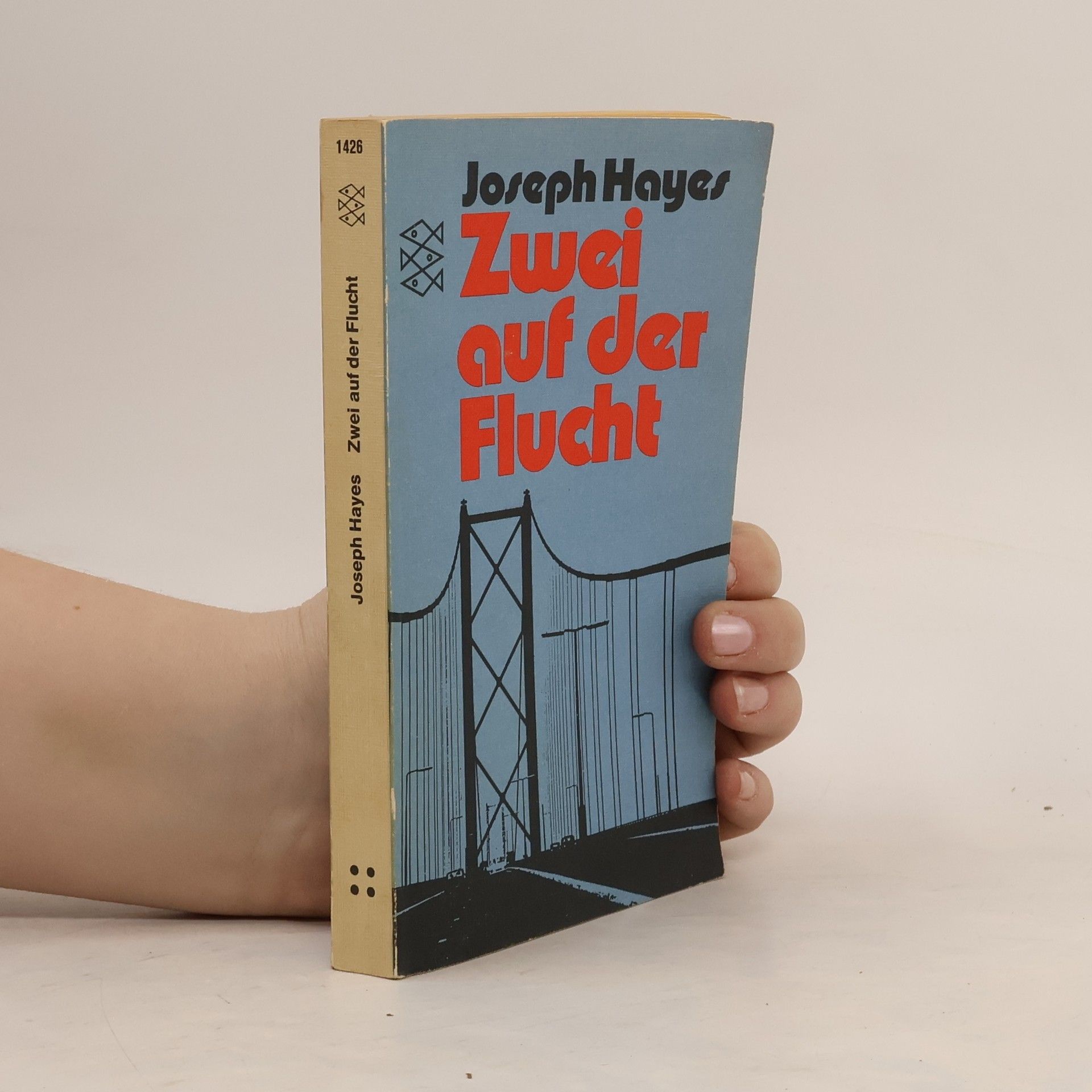 Joseph Hayes Zwei auf der Flucht