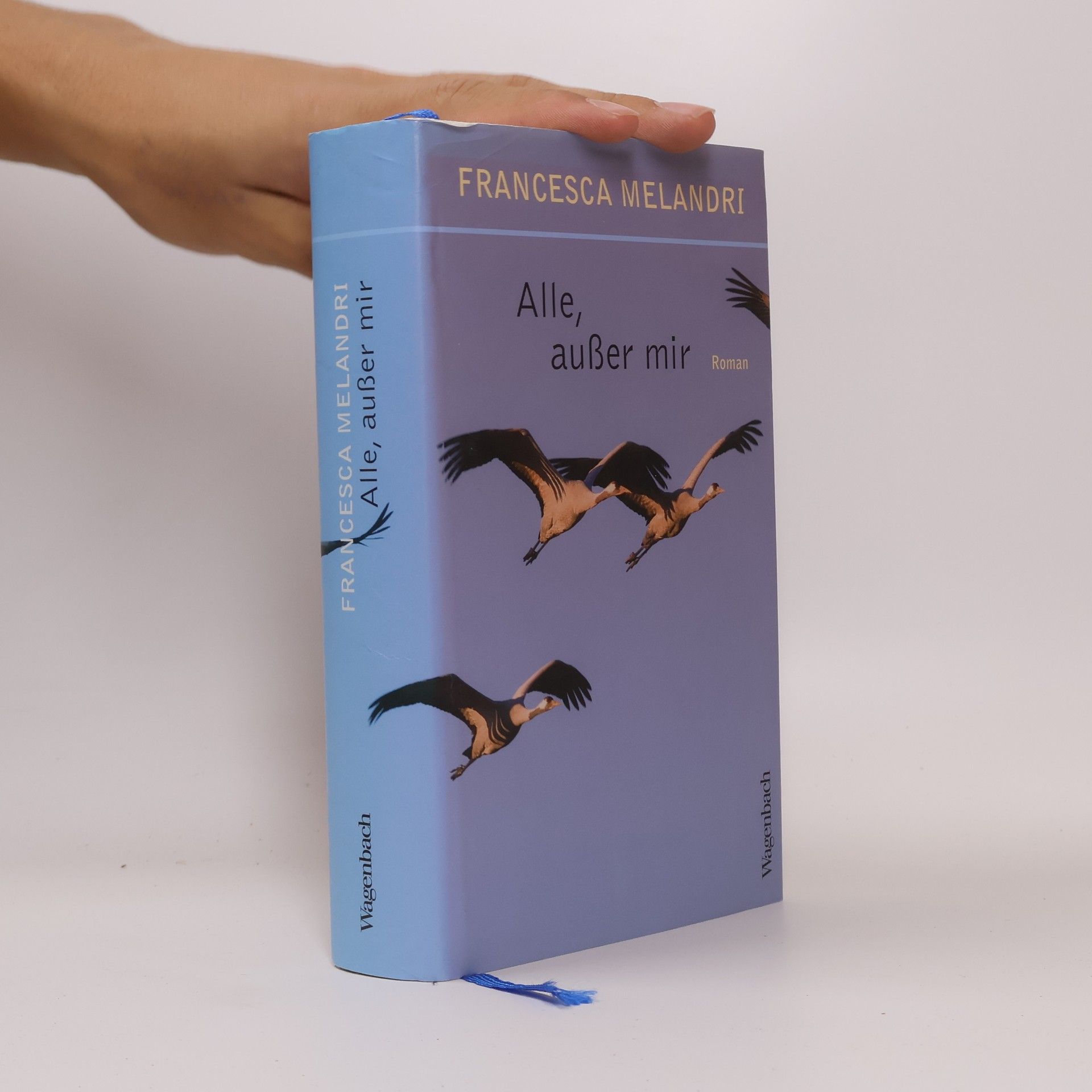 Francesca Melandri Alle, außer mir