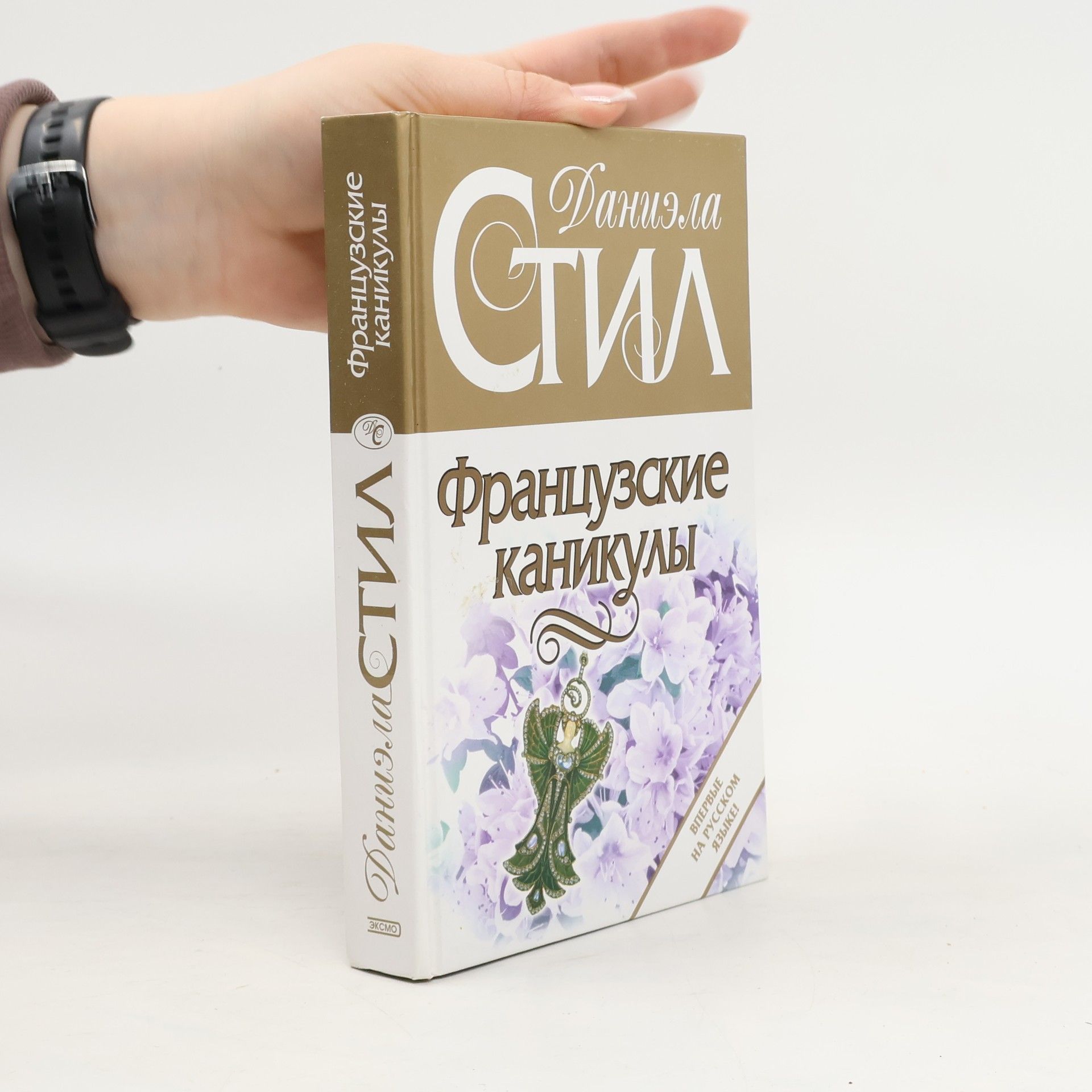 Danielle Steel Французские каникулы