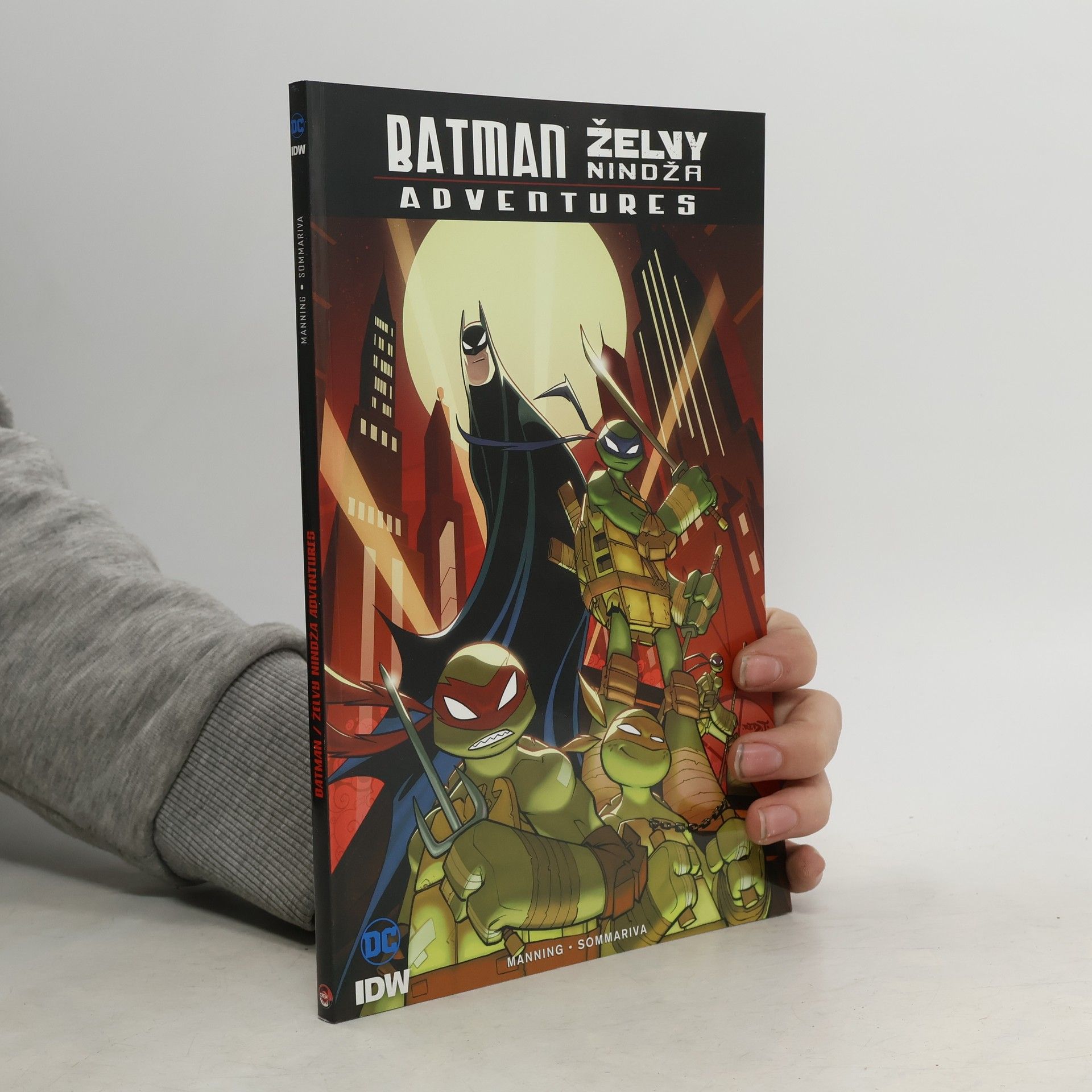 Matthew K. Manning Batman - Želvy nindža