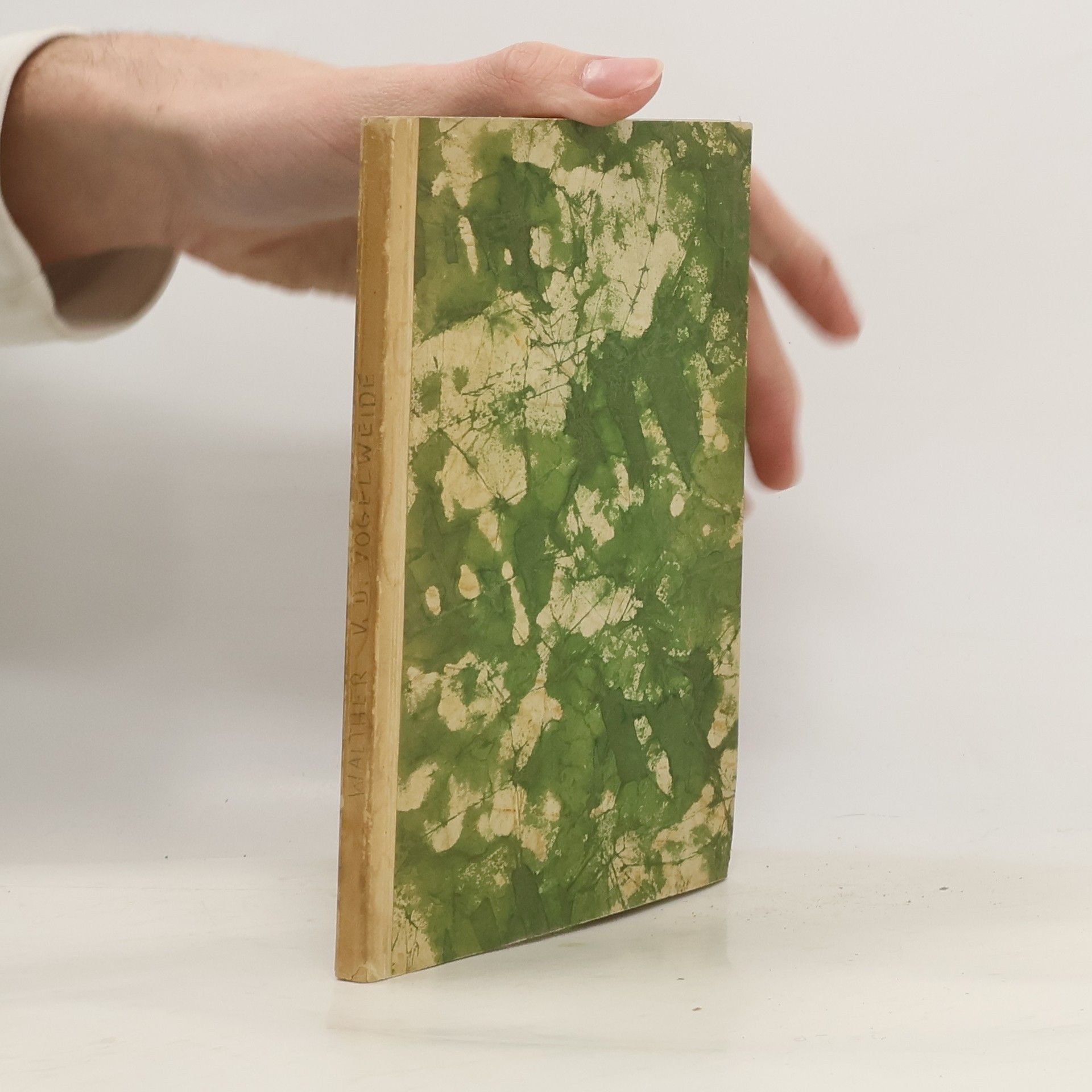 Walther von der Vogelweide und Des Minnesangs Frühling