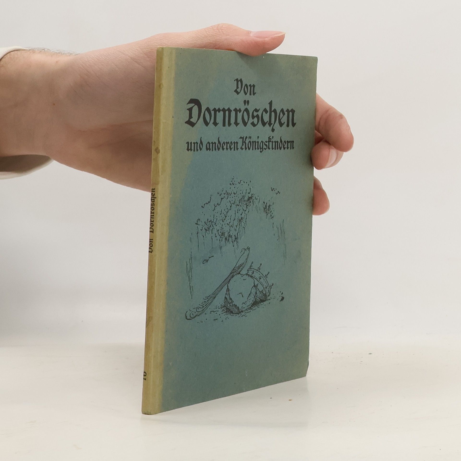 bratři Grimmové Von Dornröschen und anderen Königskindern