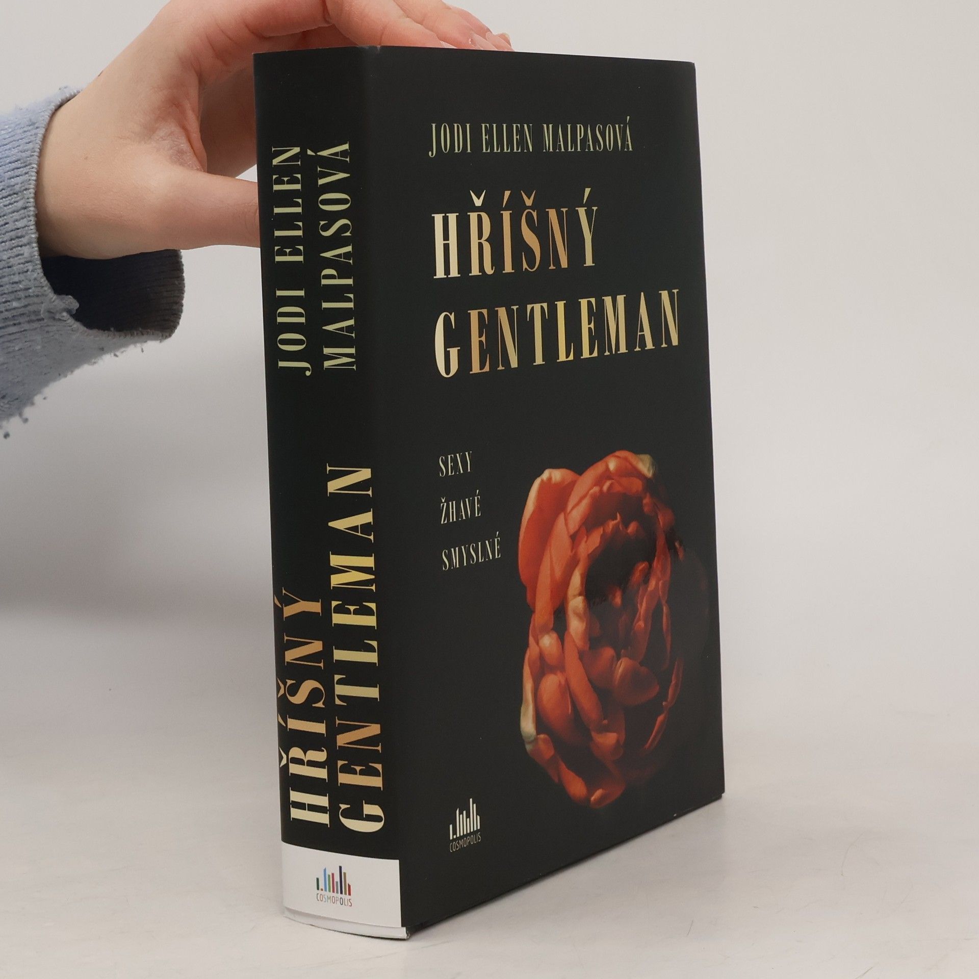 Jodi Ellen Malpas Hříšný gentleman