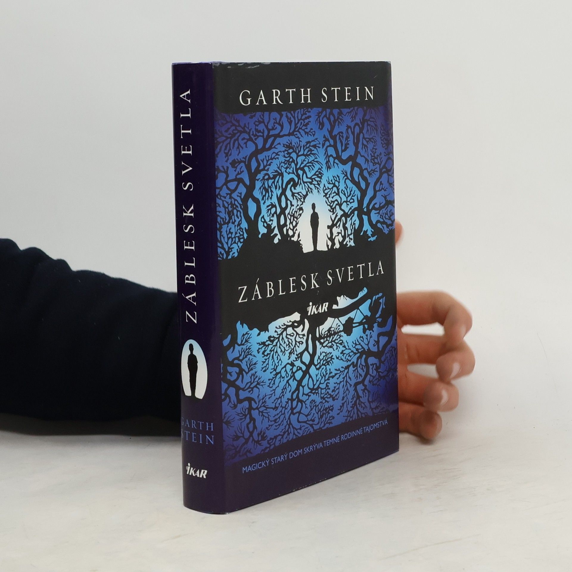 Garth Stein Záblesk svetla