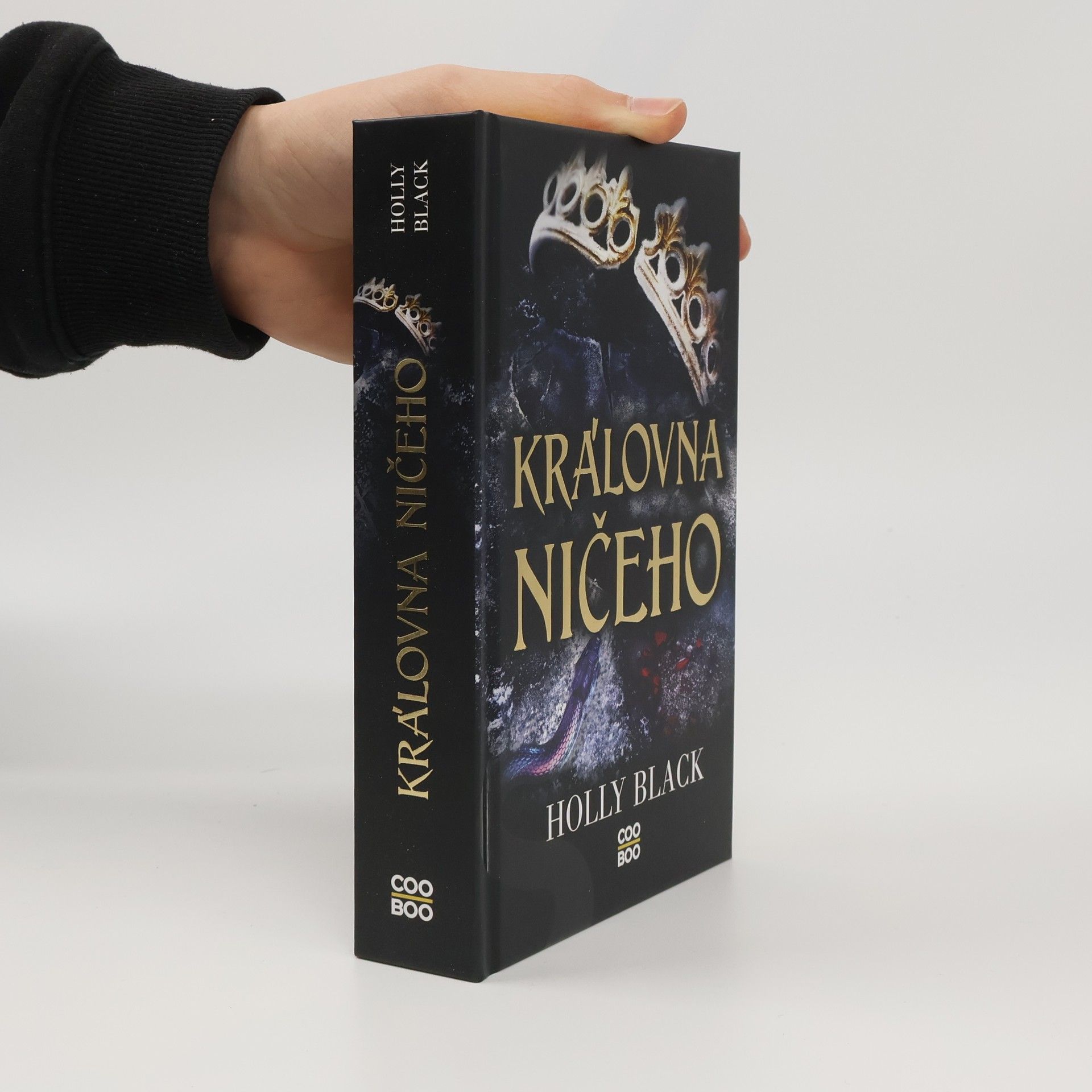 Holly Black Královna ničeho