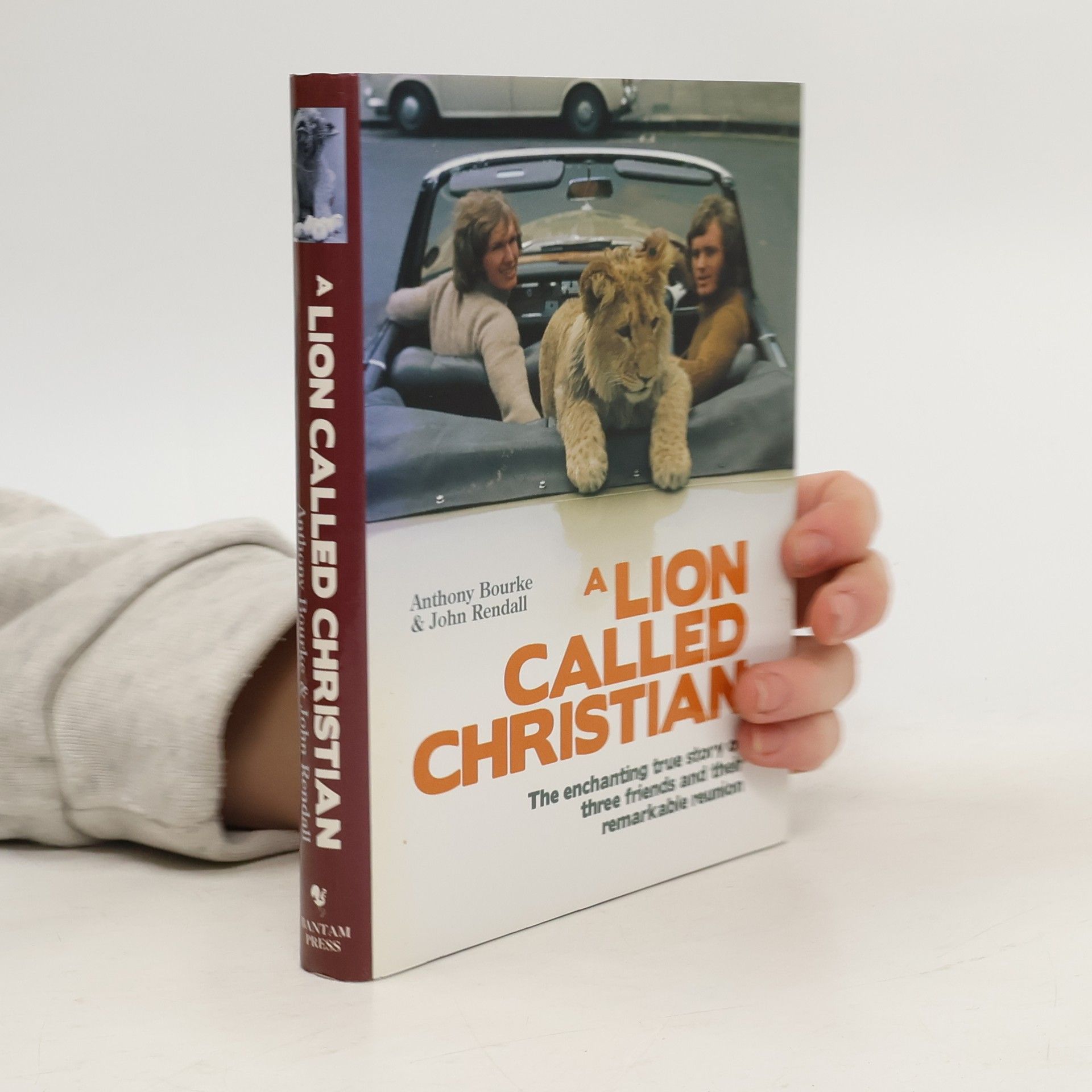 A lion called Christian