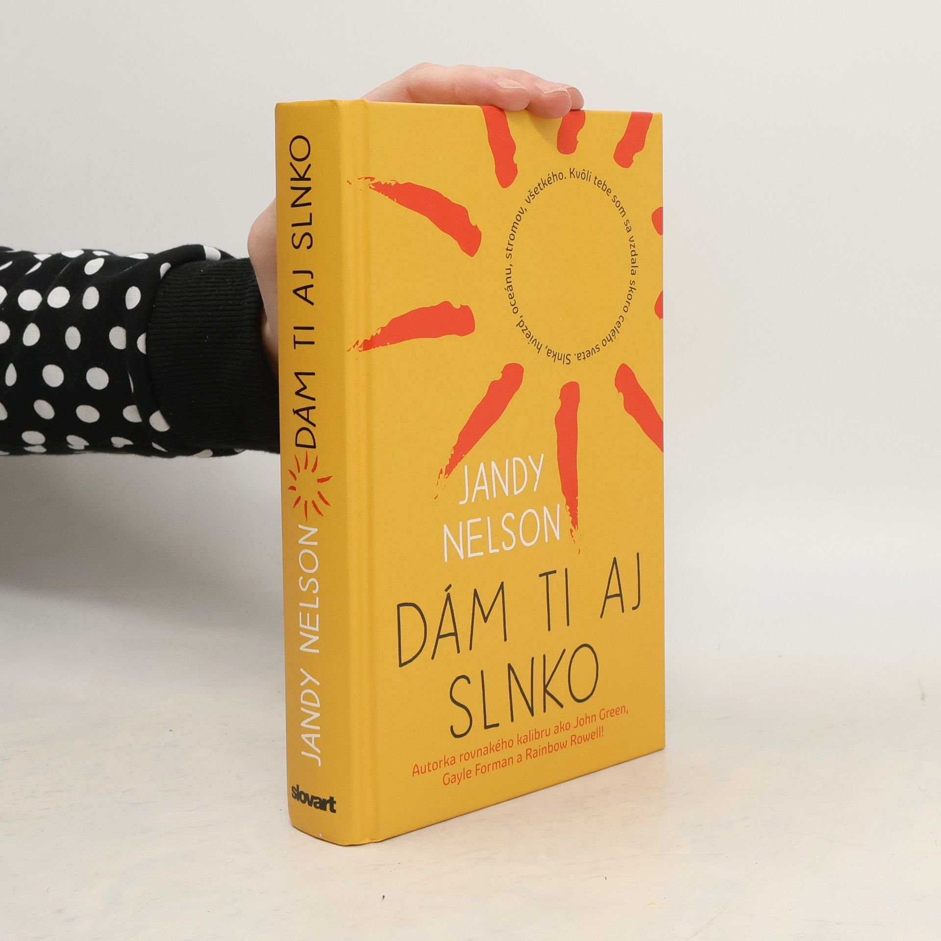 Jandy Nelson Dám ti aj slnko
