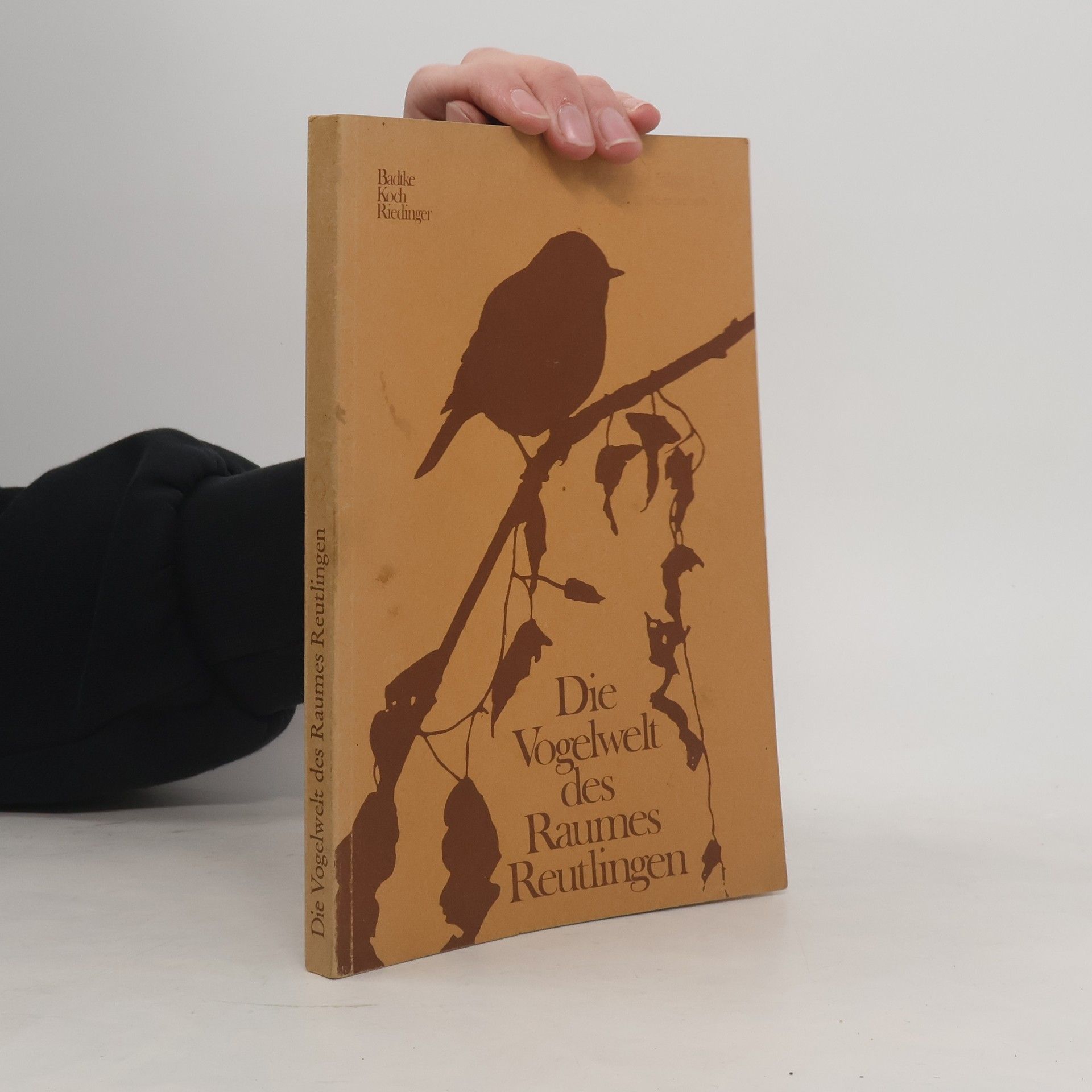 Autorenkollektiv Die Vogelwelt des Raumes Reutlingen