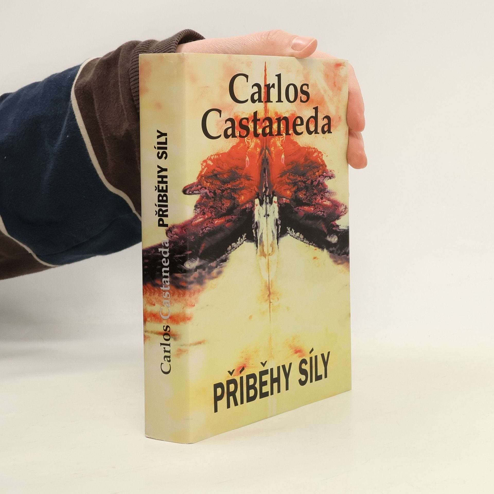 Carlos Castaneda Příběhy síly