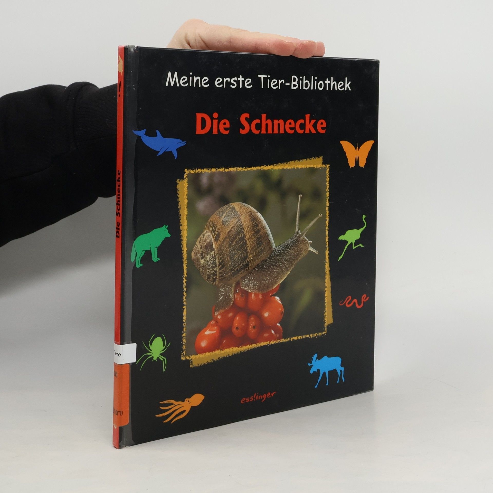 Paul Starosta Meine erste Tier-Bibliothek: Die Schnecke