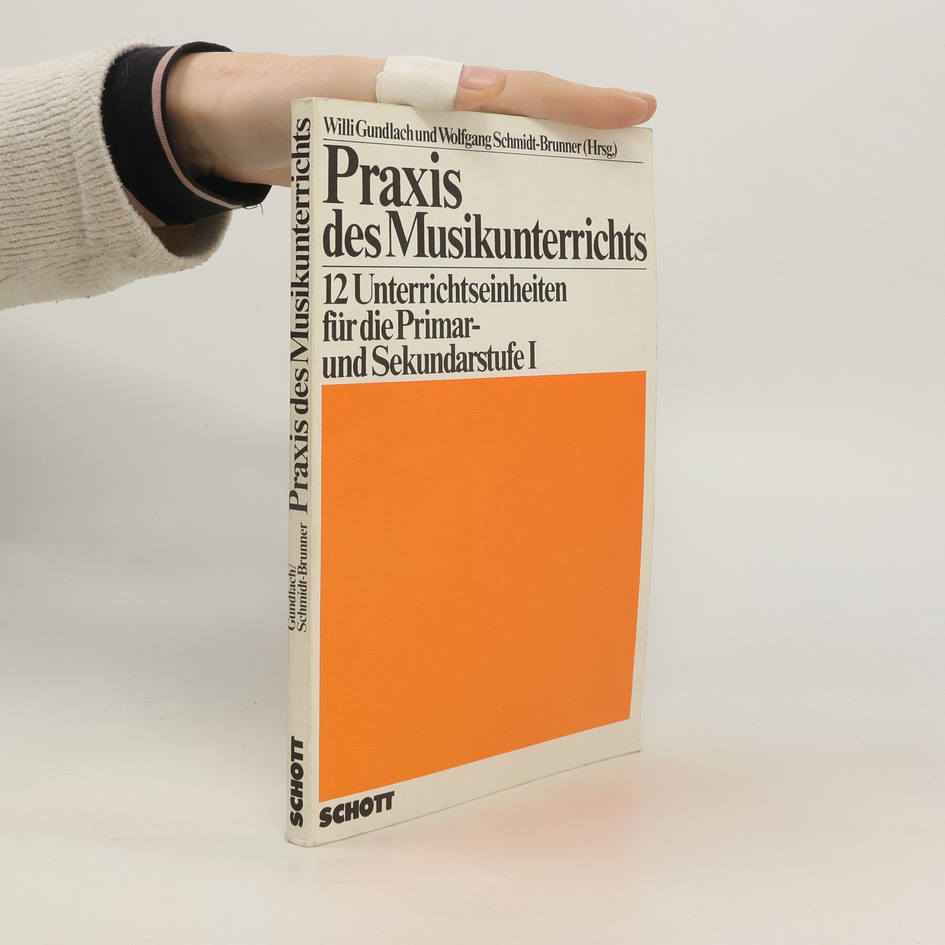 Praxis des Musikunterrichts