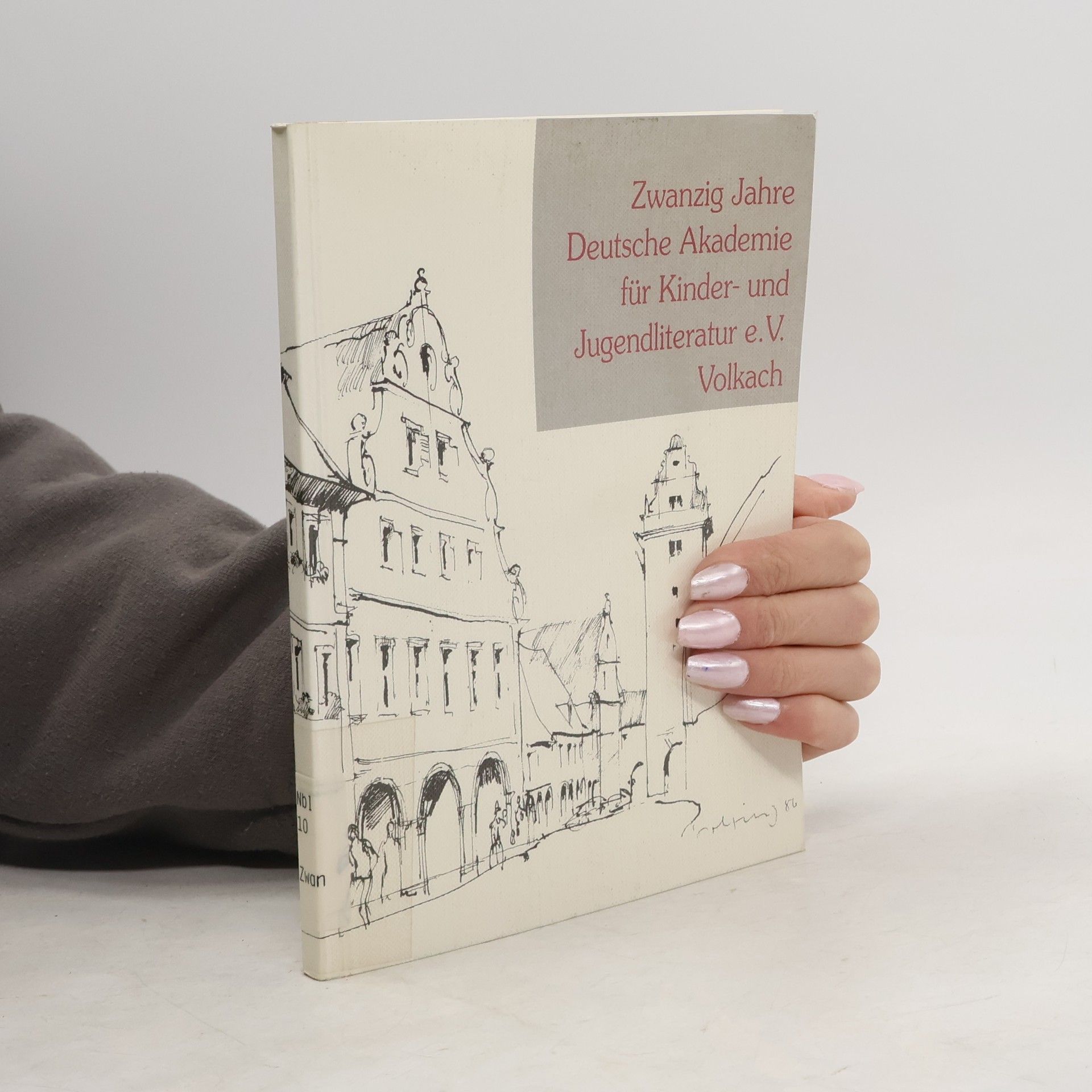 Autorenkollektiv Zwanzig Jahre Deutsche Akademie für Kinder- und Jugendliteratur e. V. Volkach