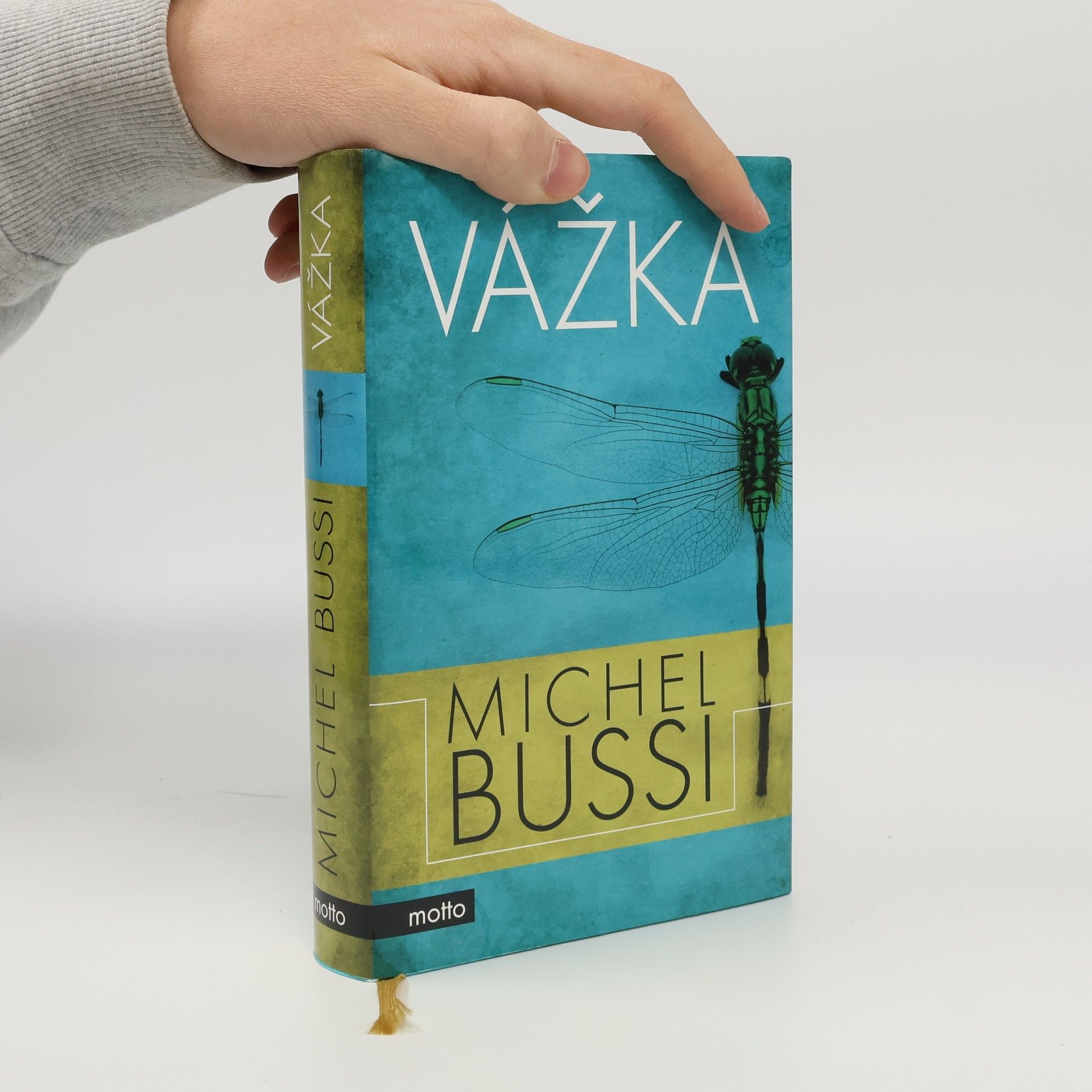 Michel Bussi Vážka