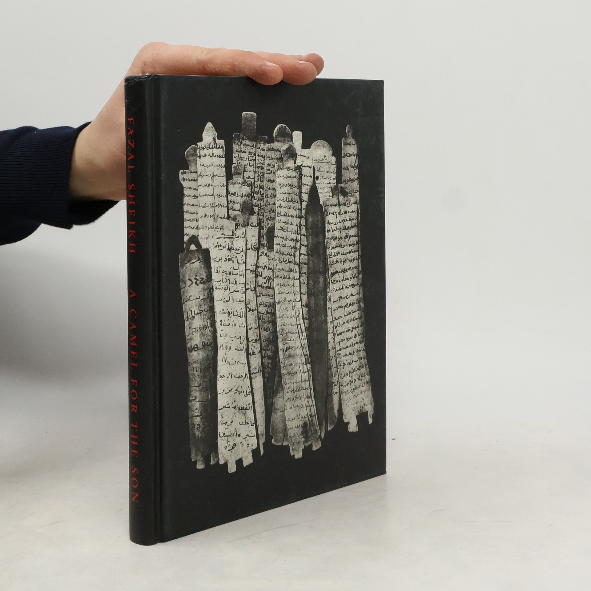 Fazel Sheikh Fazal Sheikh