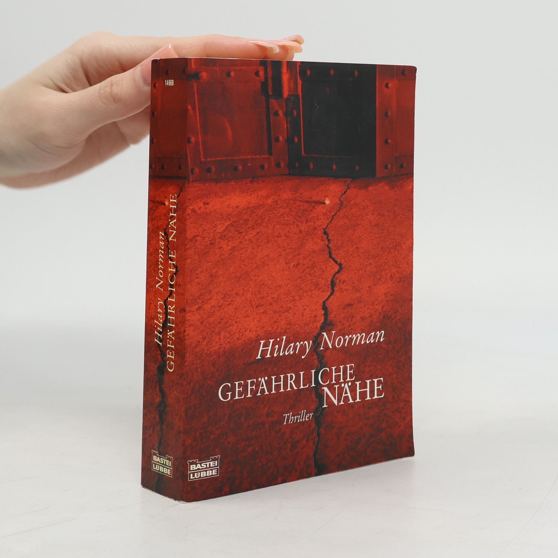 Hilary Norman Gefährliche Nähe