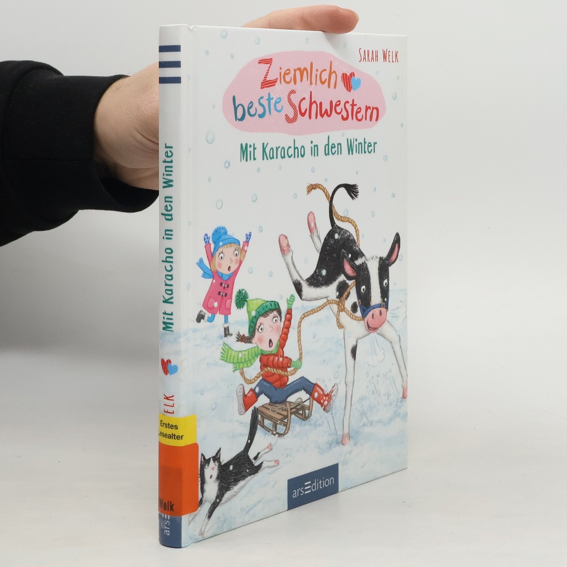 Sarah Welk Ziemlich beste Schwestern - mit Karacho in den Winter