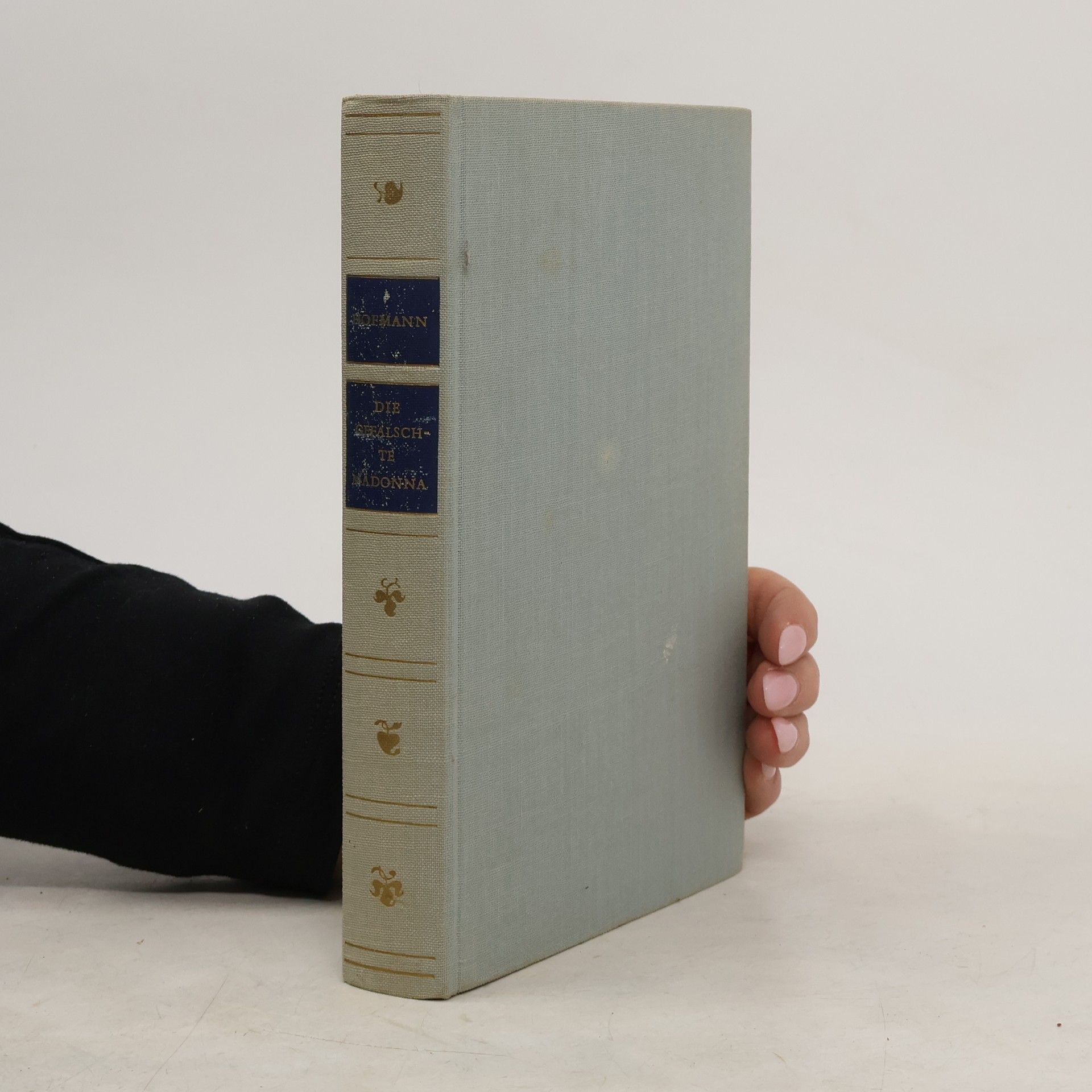 Brunhilde Hofmann Die gefälschte Madonna