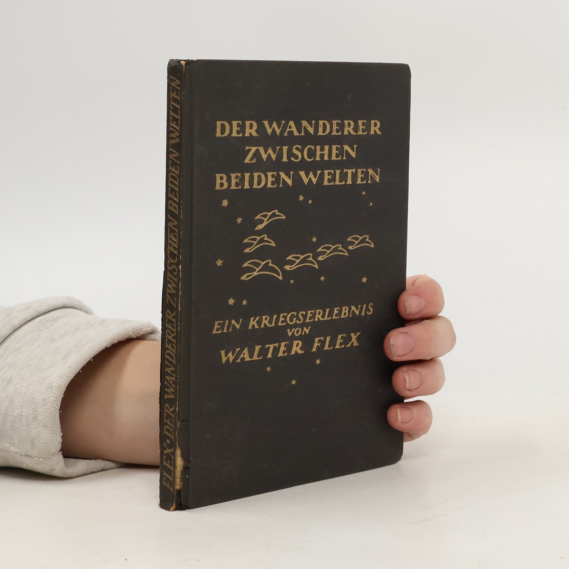 Walter Flex Der Wanderer zwischen beiden Welten