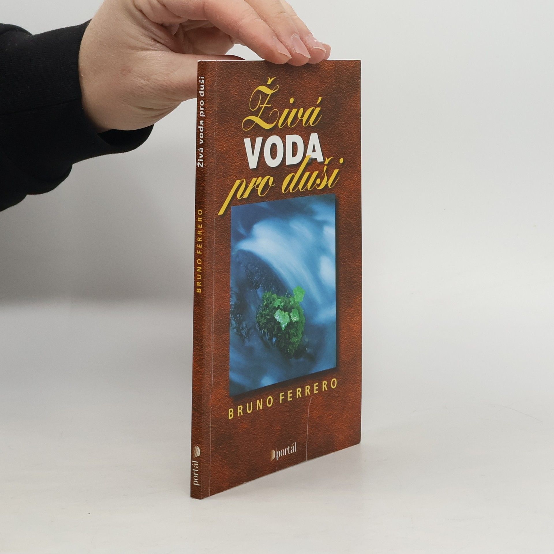 Bruno Ferrero Živá voda pro duši