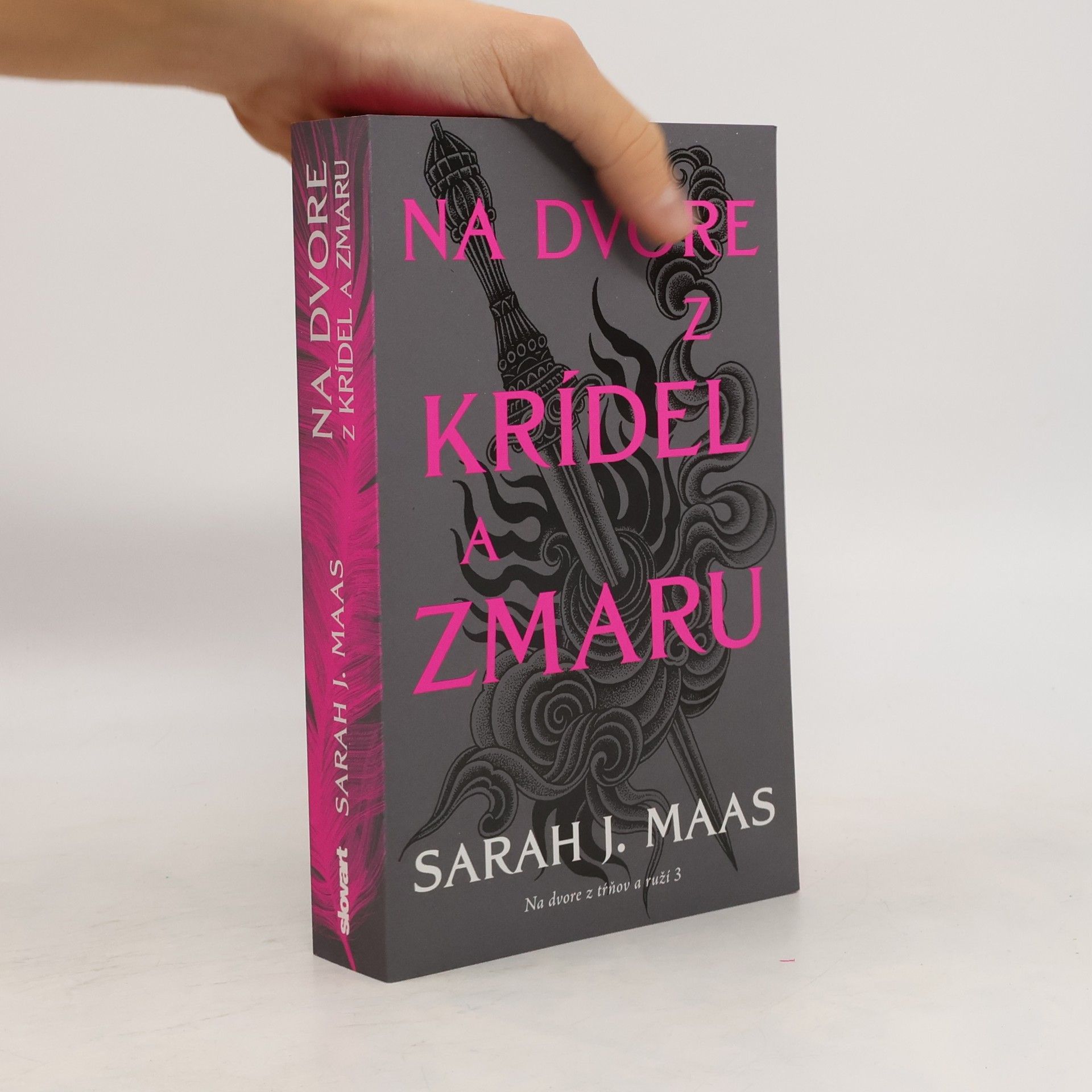 Sarah J. Maas Na dvore z krídel a zmaru