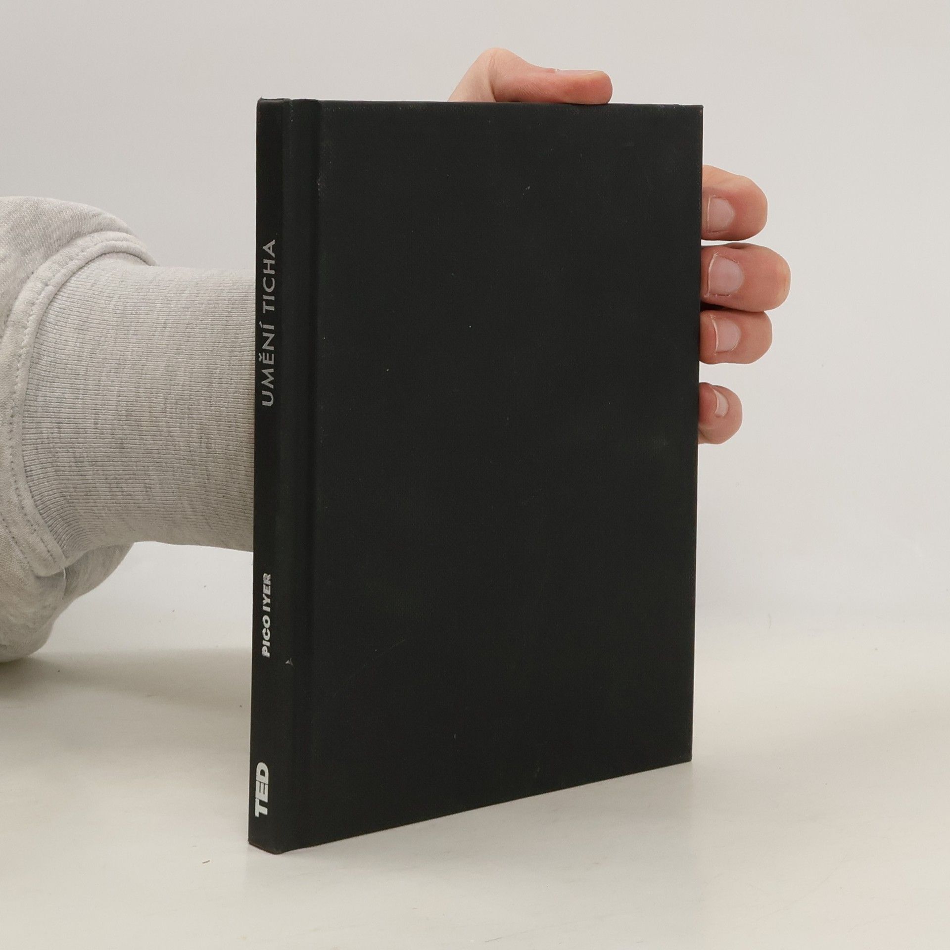 Pico Iyer Umění ticha. Zážitek z cestování do Nikam