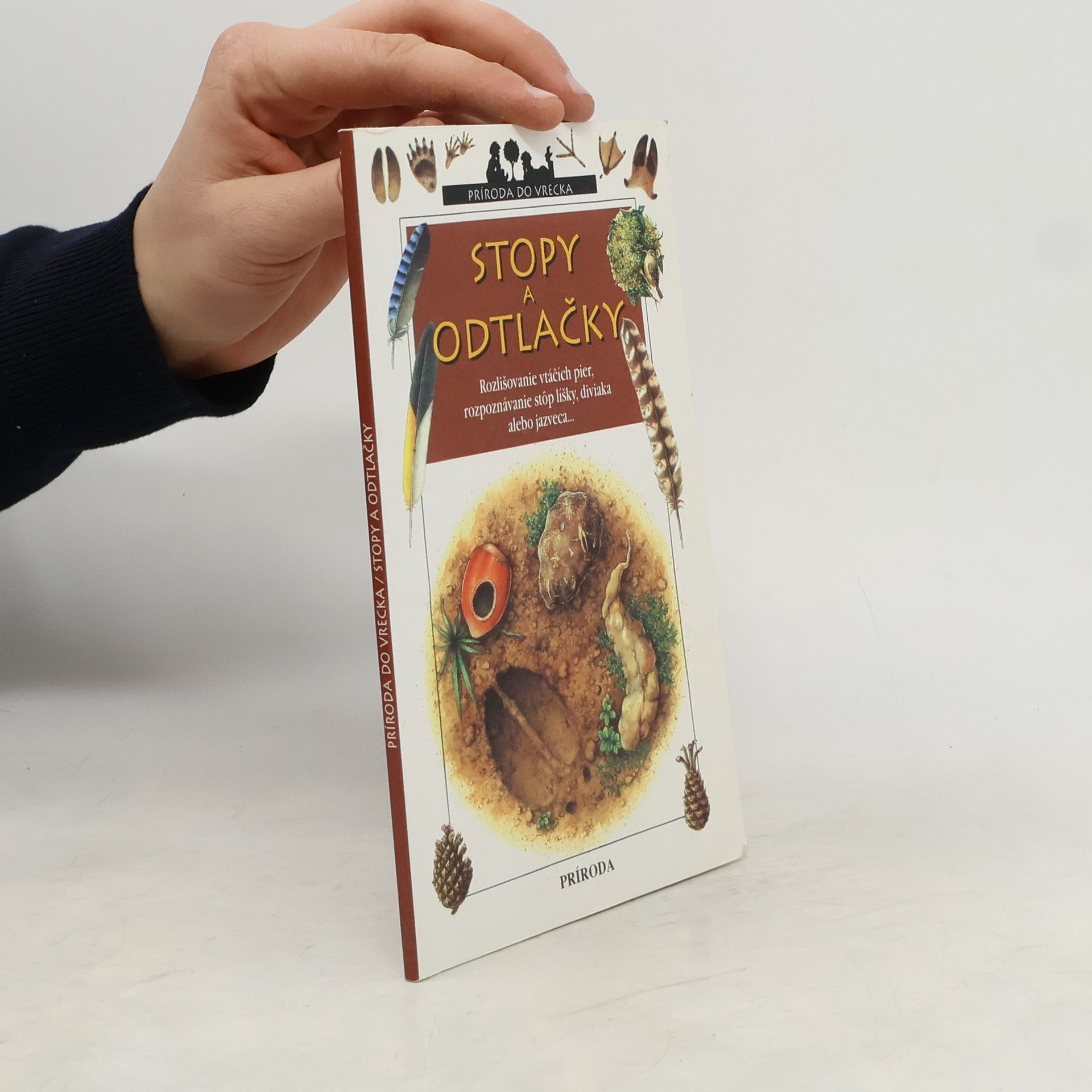 Kolektív autorov Stopy a odtlačky