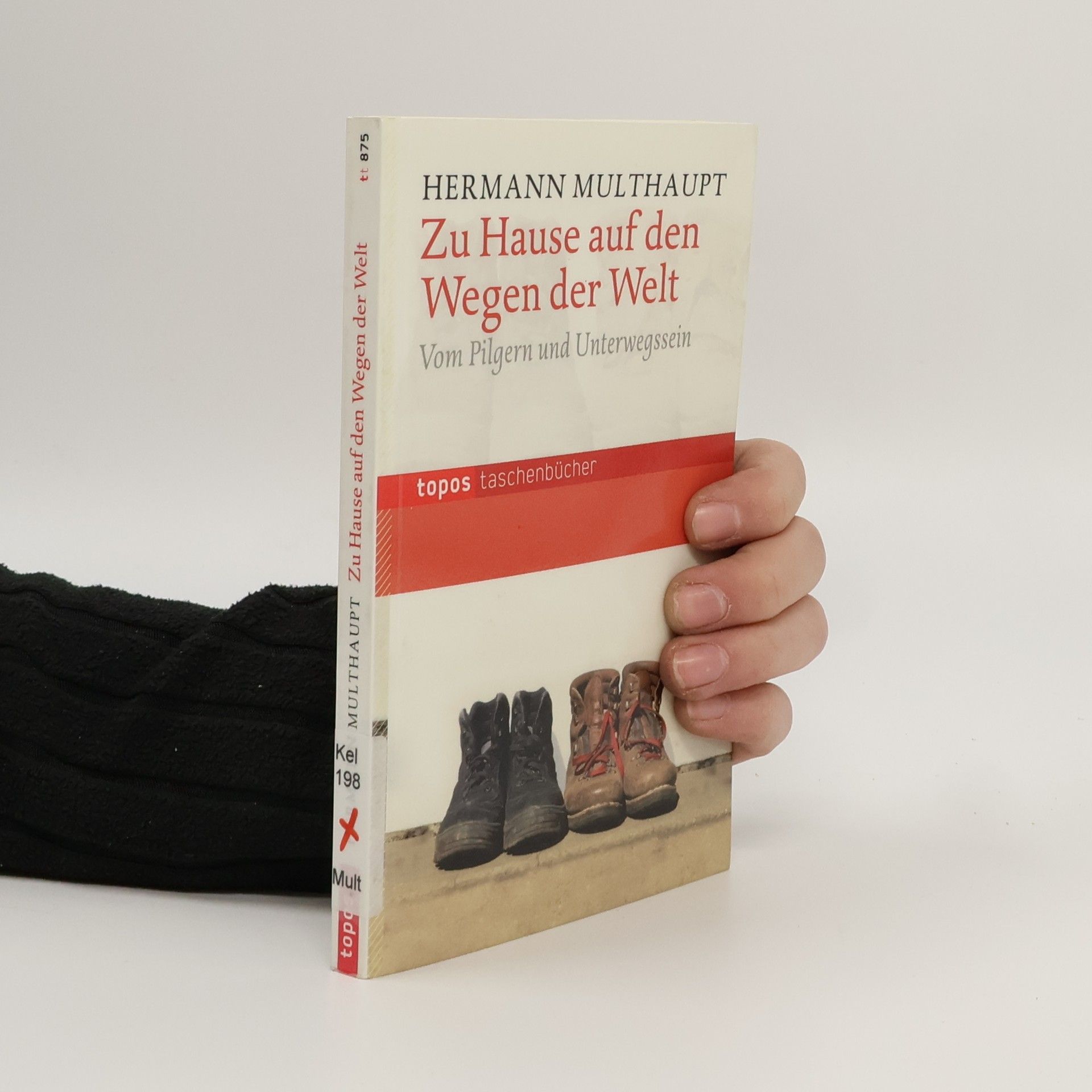 Hermann Multhaupt Zu Hause auf den Wegen der Welt